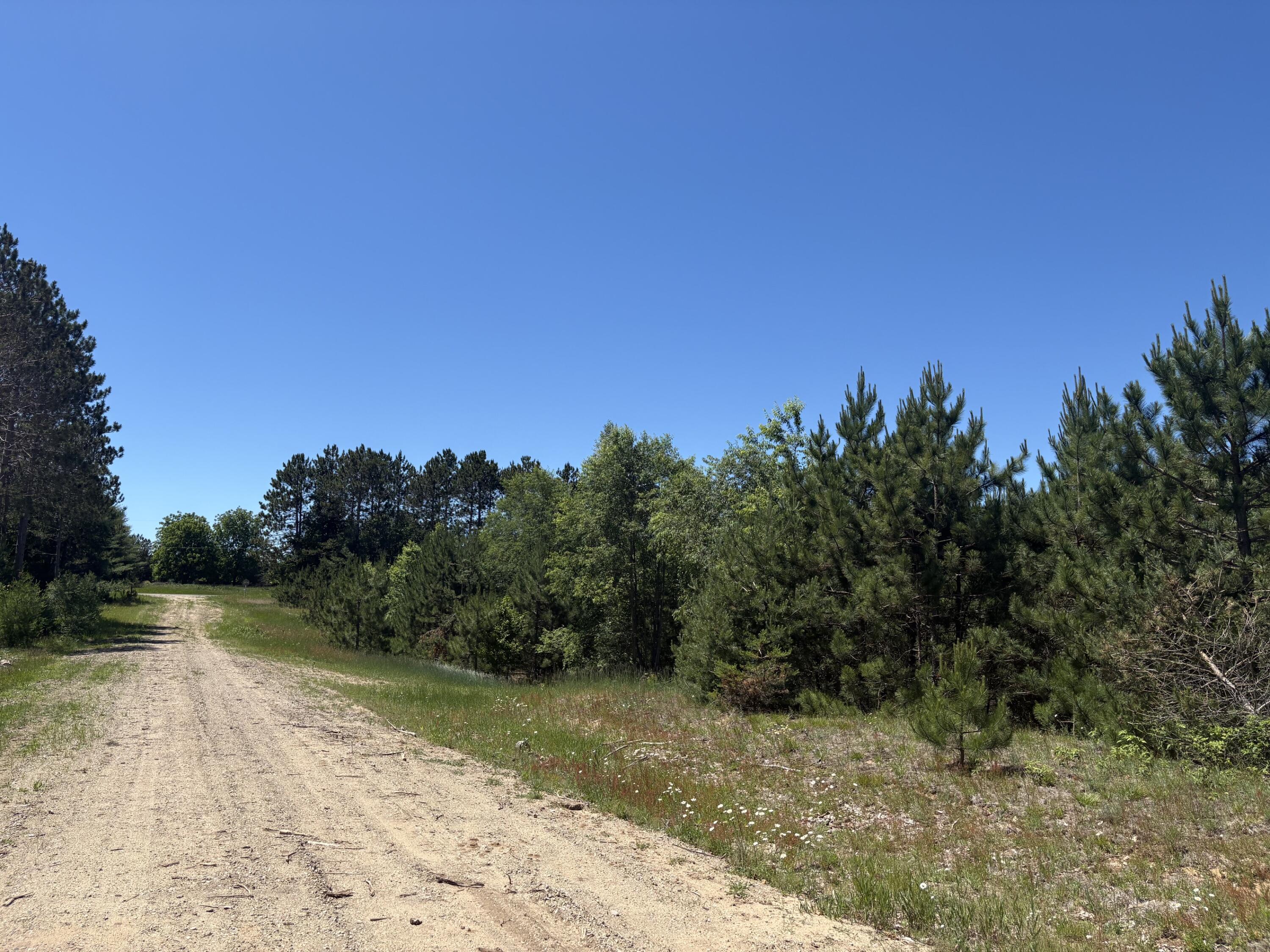 5.67 Acres Norconk Road Property Photo 8