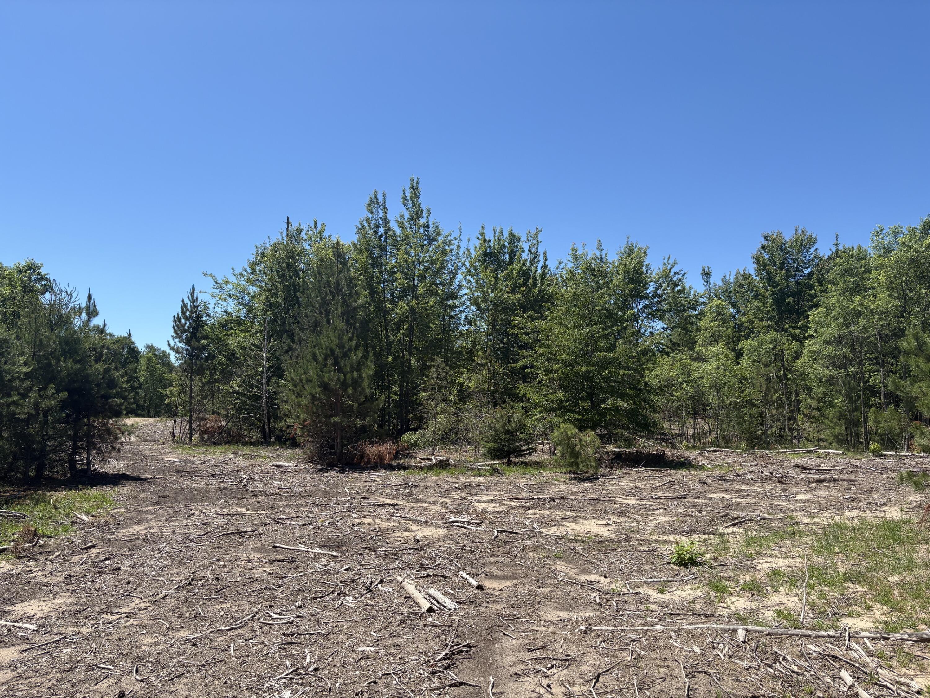 5.67 Acres Norconk Road Property Photo 10