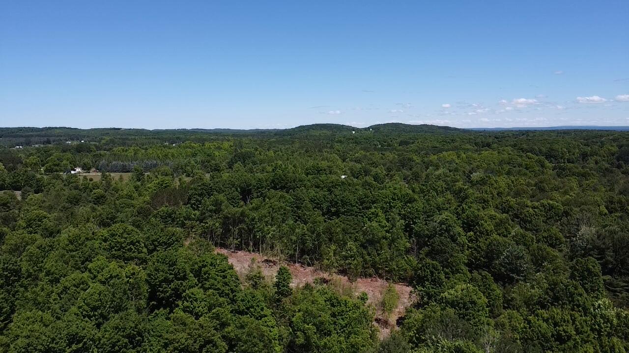 5.67 Acres Norconk Road Property Photo 11