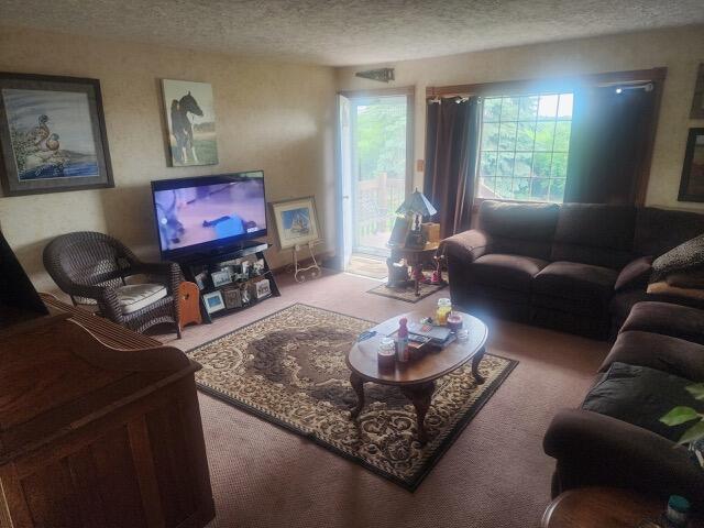 8083 Brown Road Property Photo 6