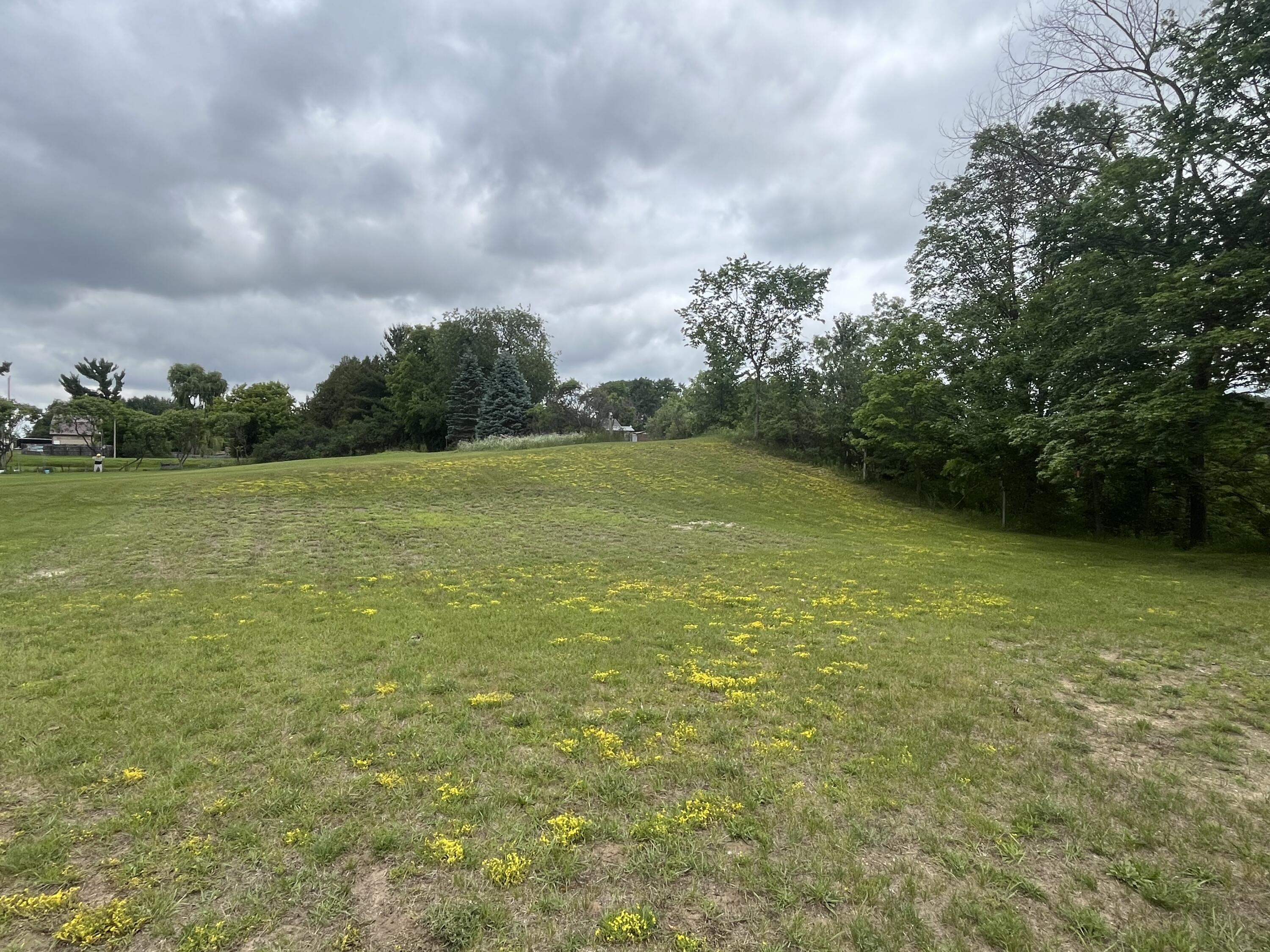 1172 N Greenville Road Property Photo 29