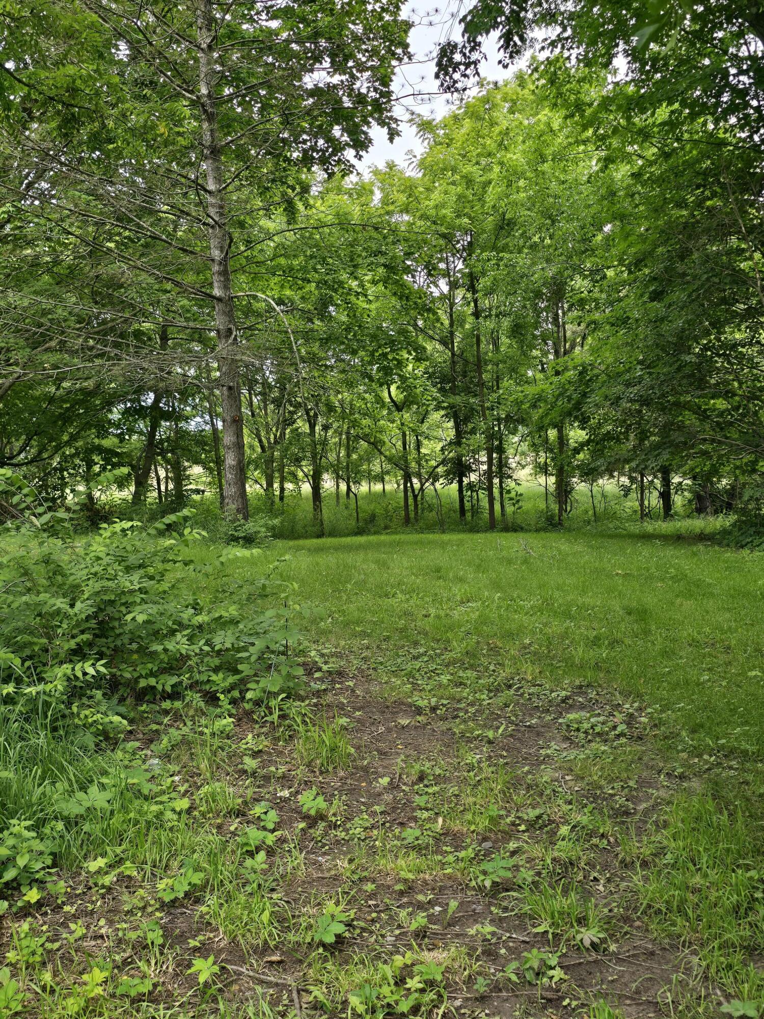 8733 S Cochran Avenue Property Photo 9