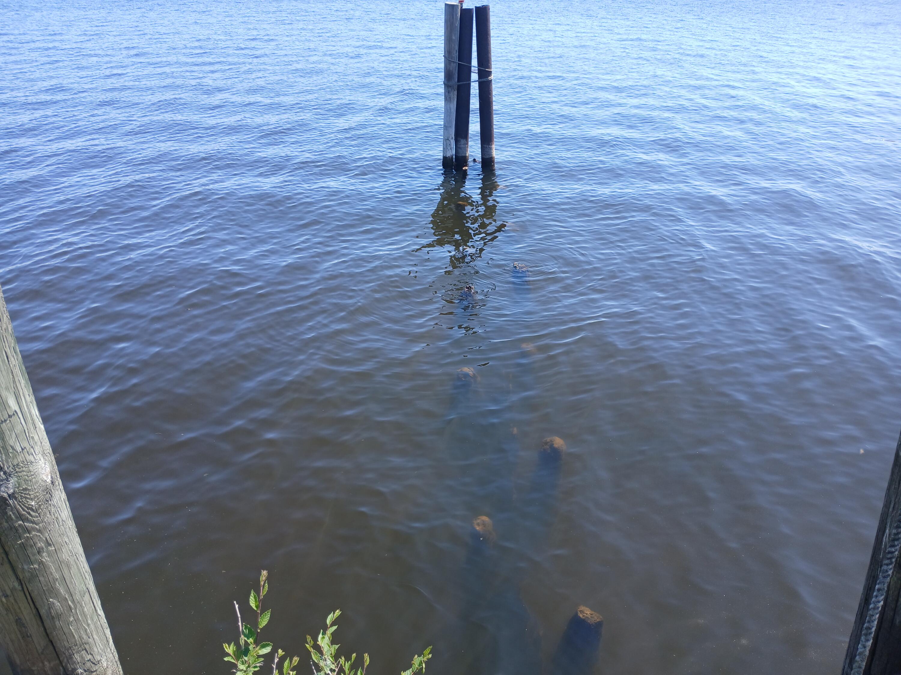 846 S Lakeshore Drive Parcel ''a'' Property Photo 16