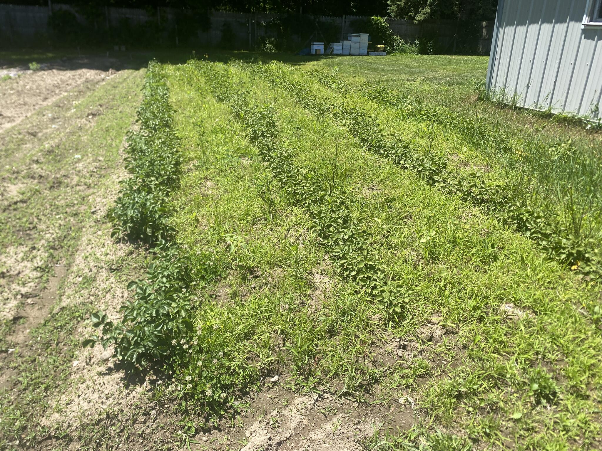 12915 Cassidy Road Property Photo 112