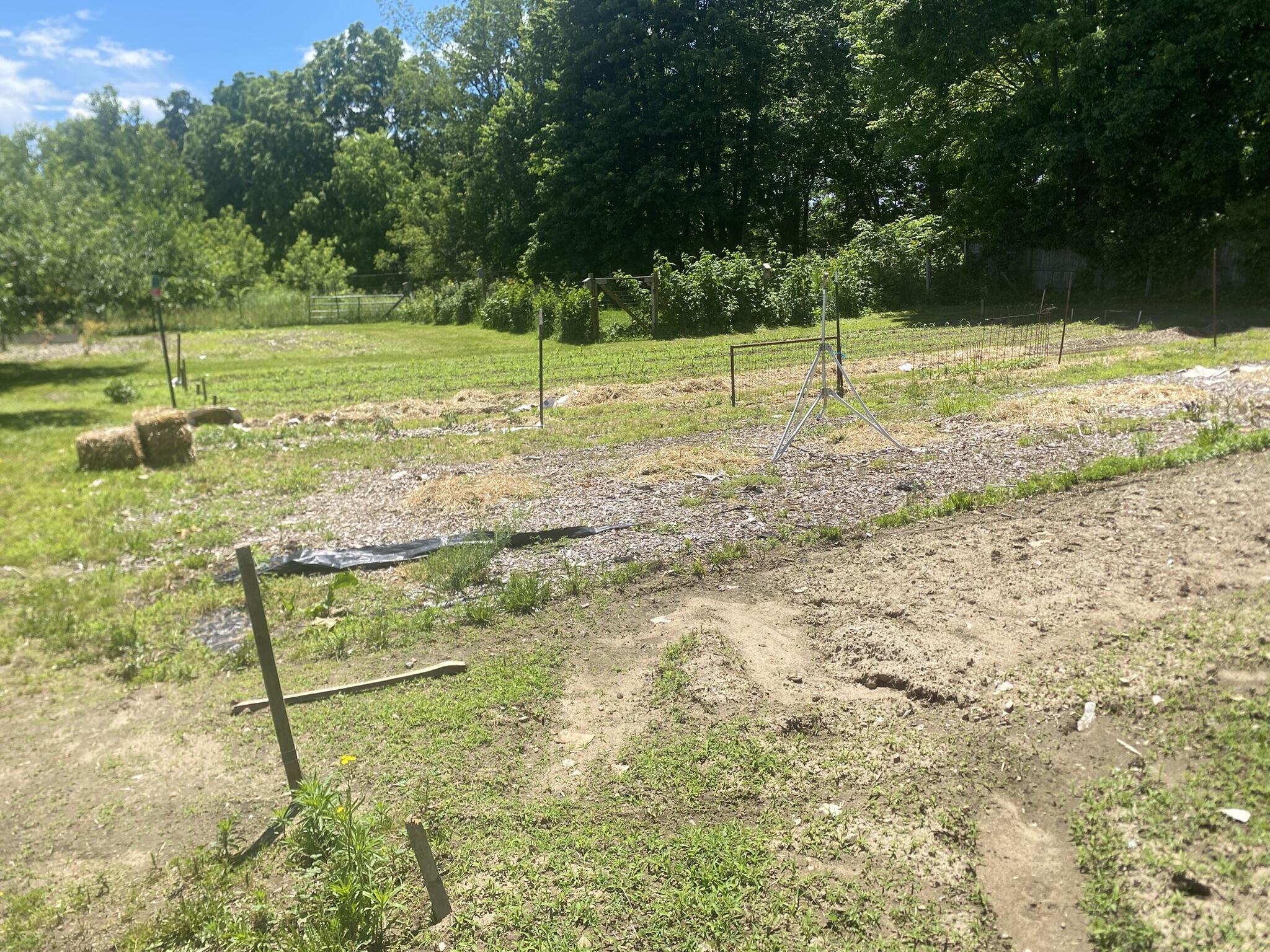 12915 Cassidy Road Property Photo 113