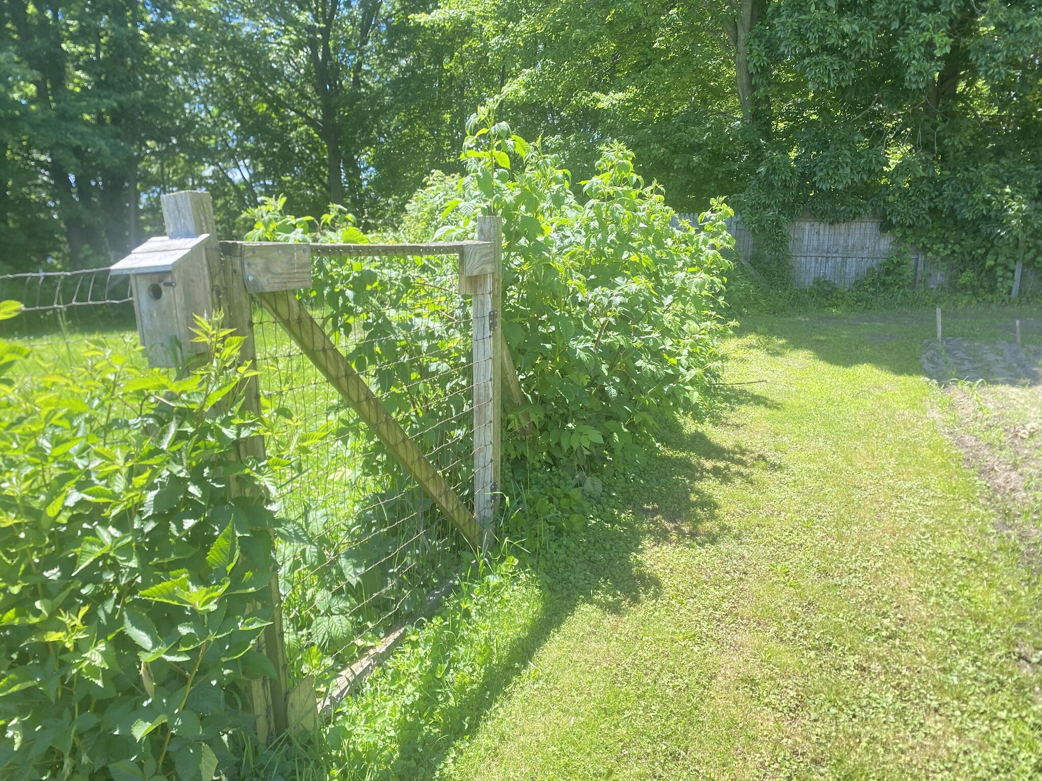 12915 Cassidy Road Property Photo 114