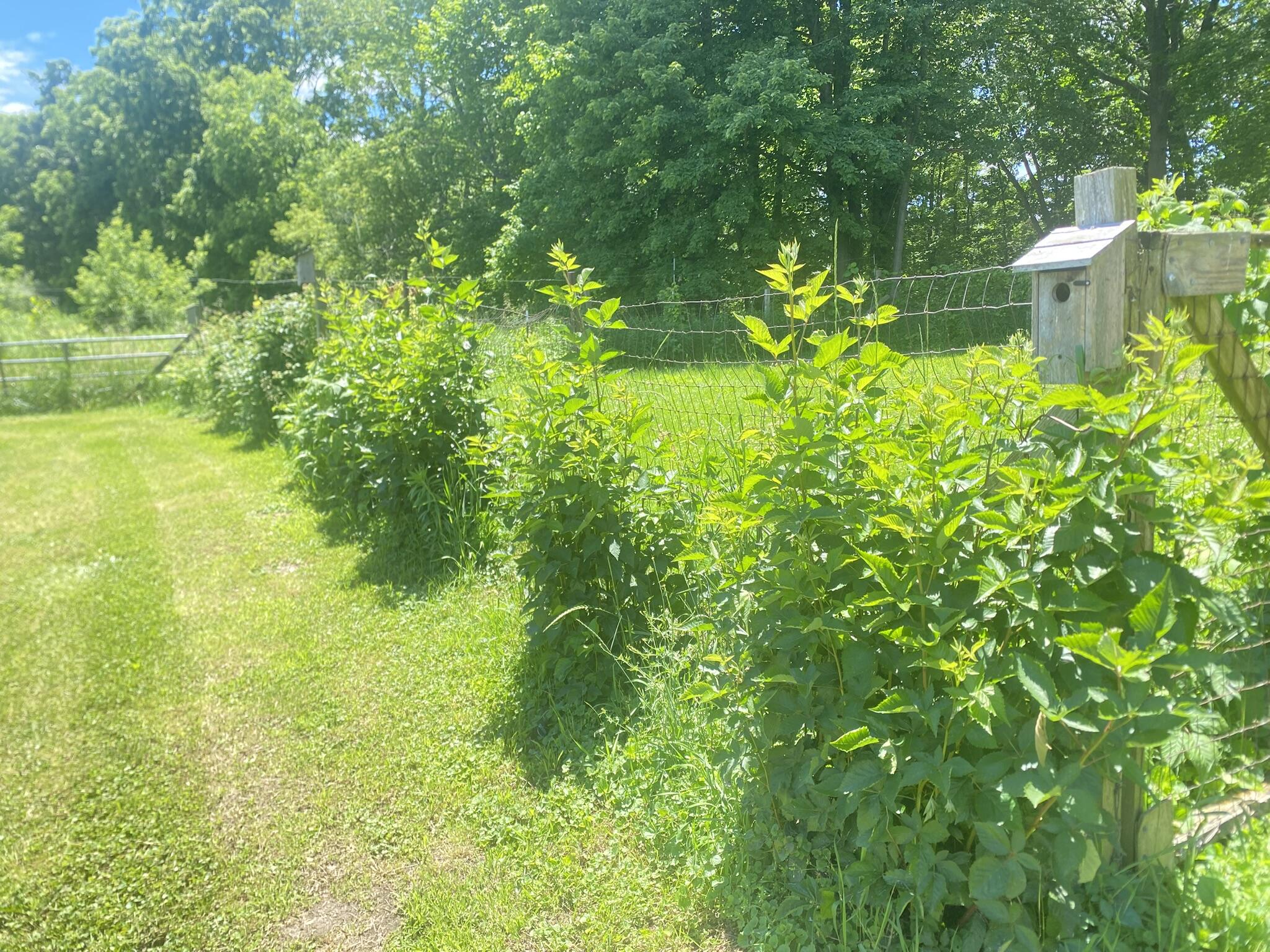 12915 Cassidy Road Property Photo 115