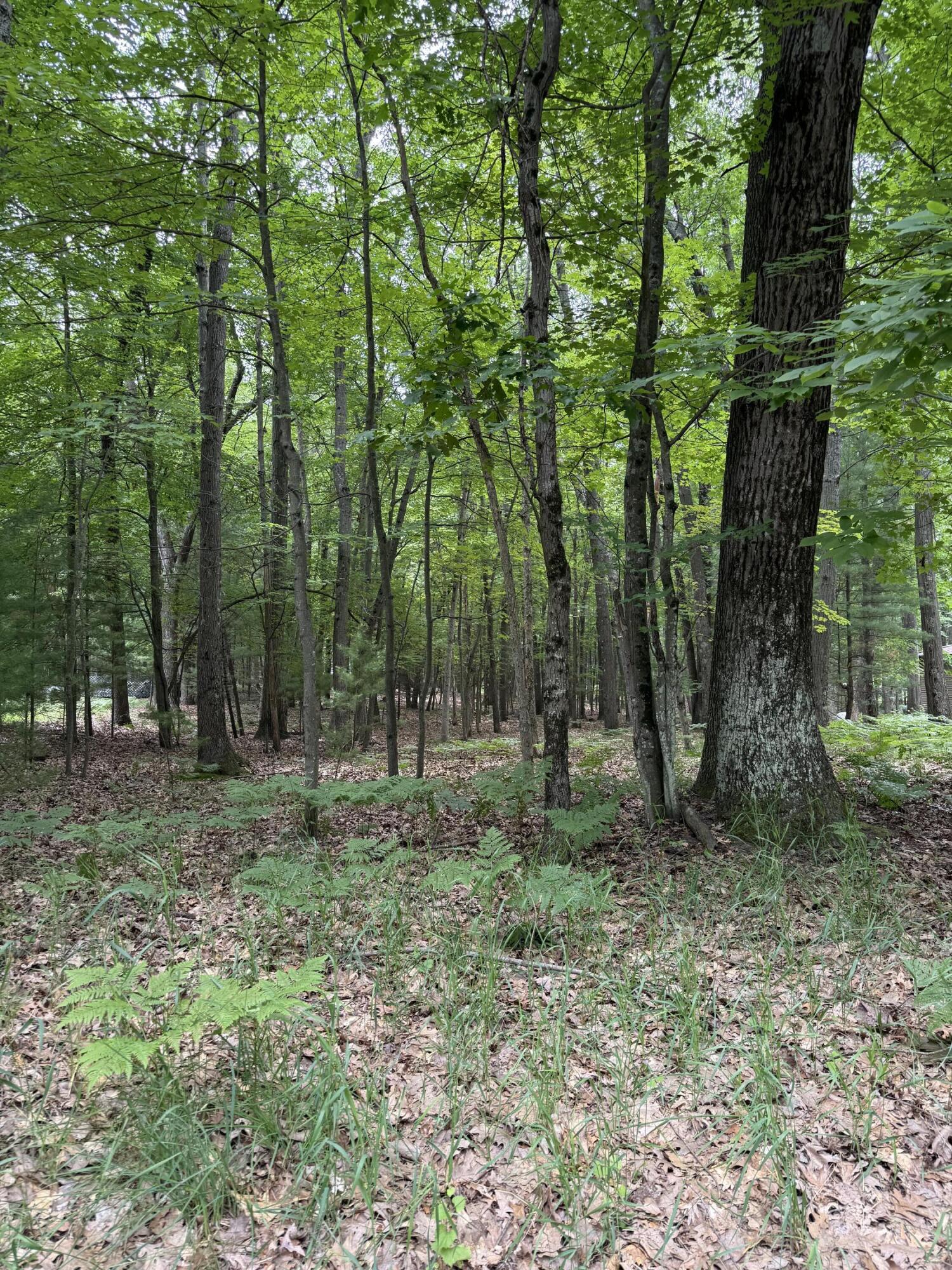 Lot 127 Wayne Road Property Photo 2