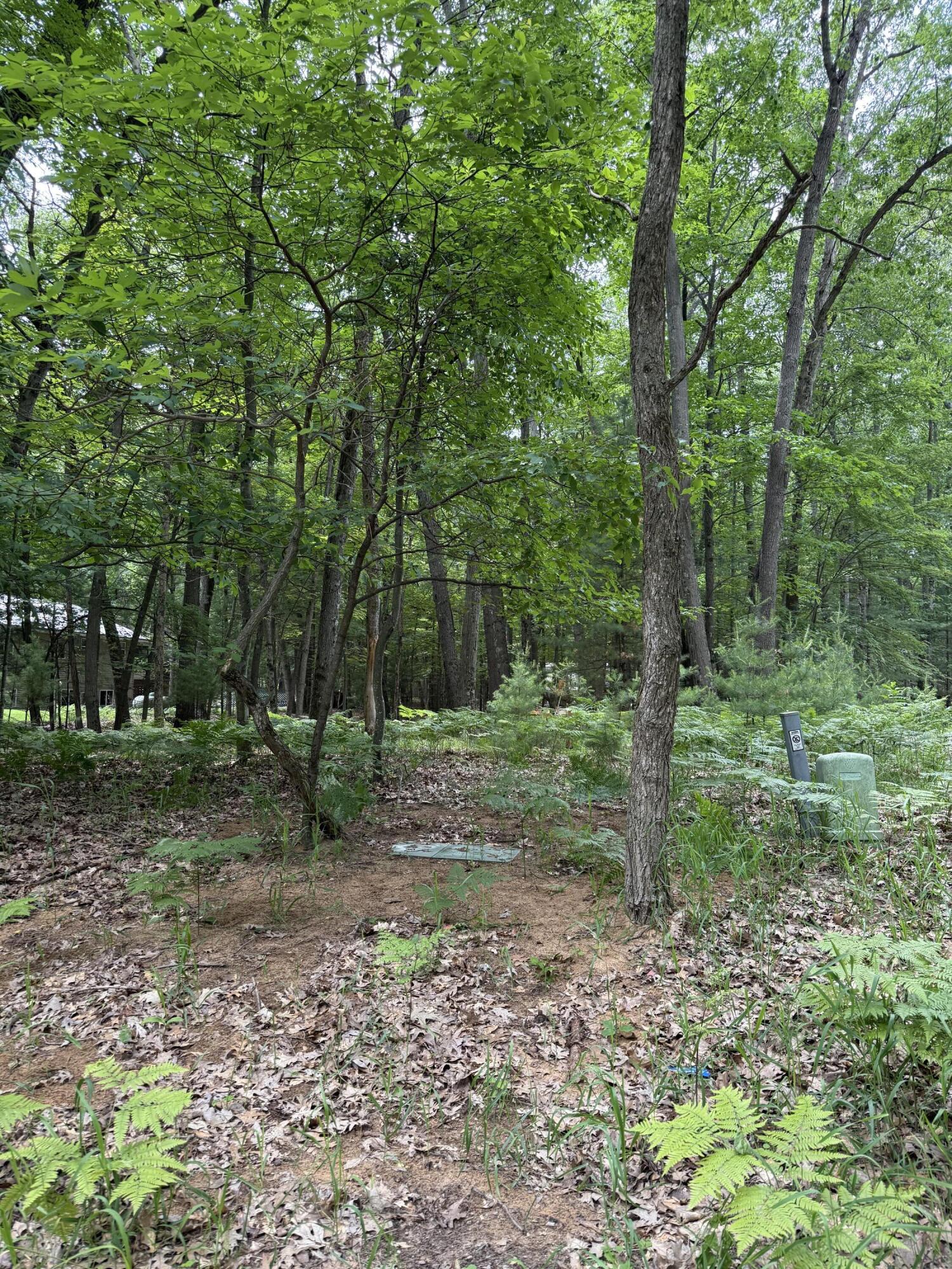 Lot 127 Wayne Road Property Photo 3