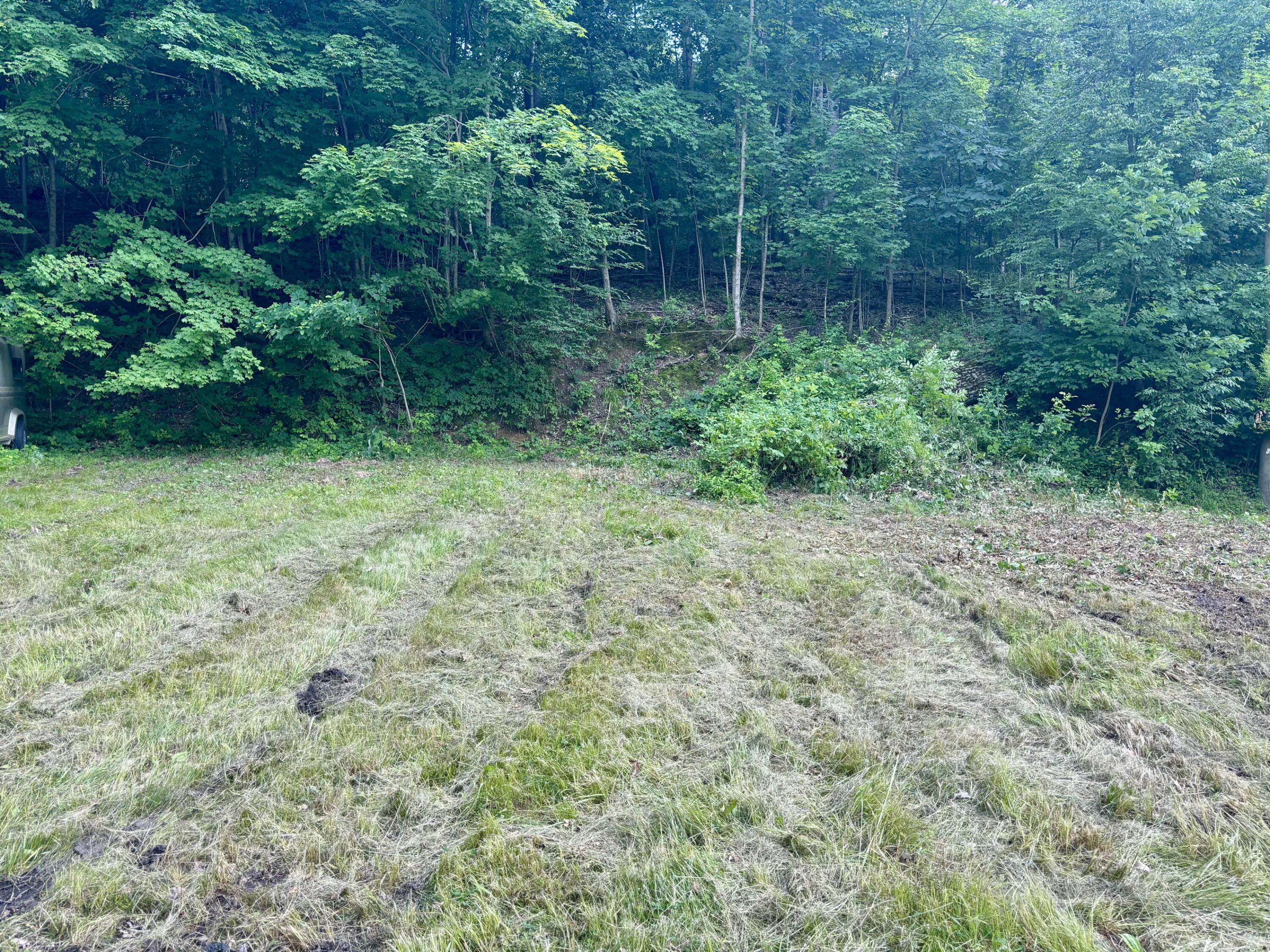 Spring Street Property Photo 4