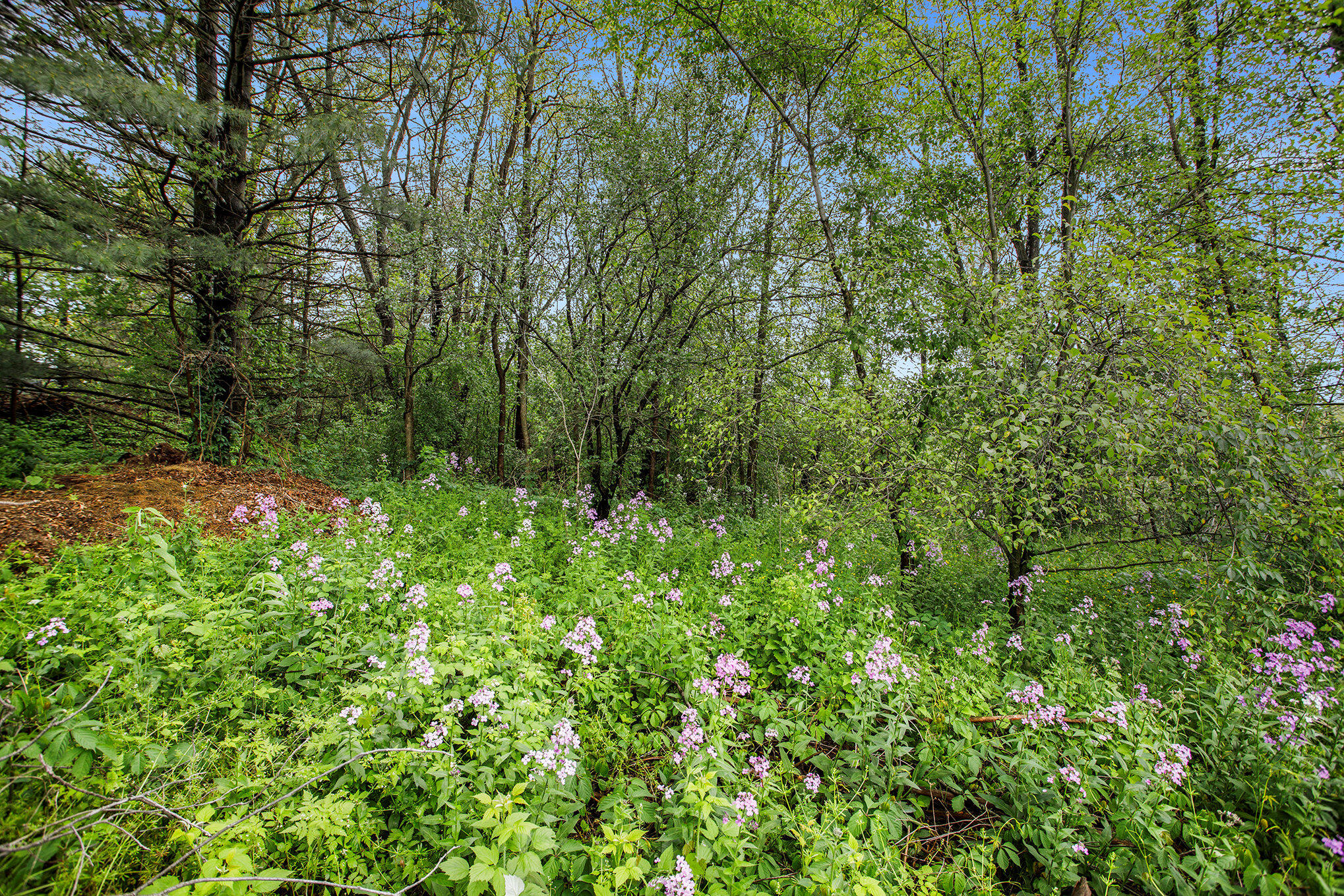 184 Shadowood Lane Property Photo 4