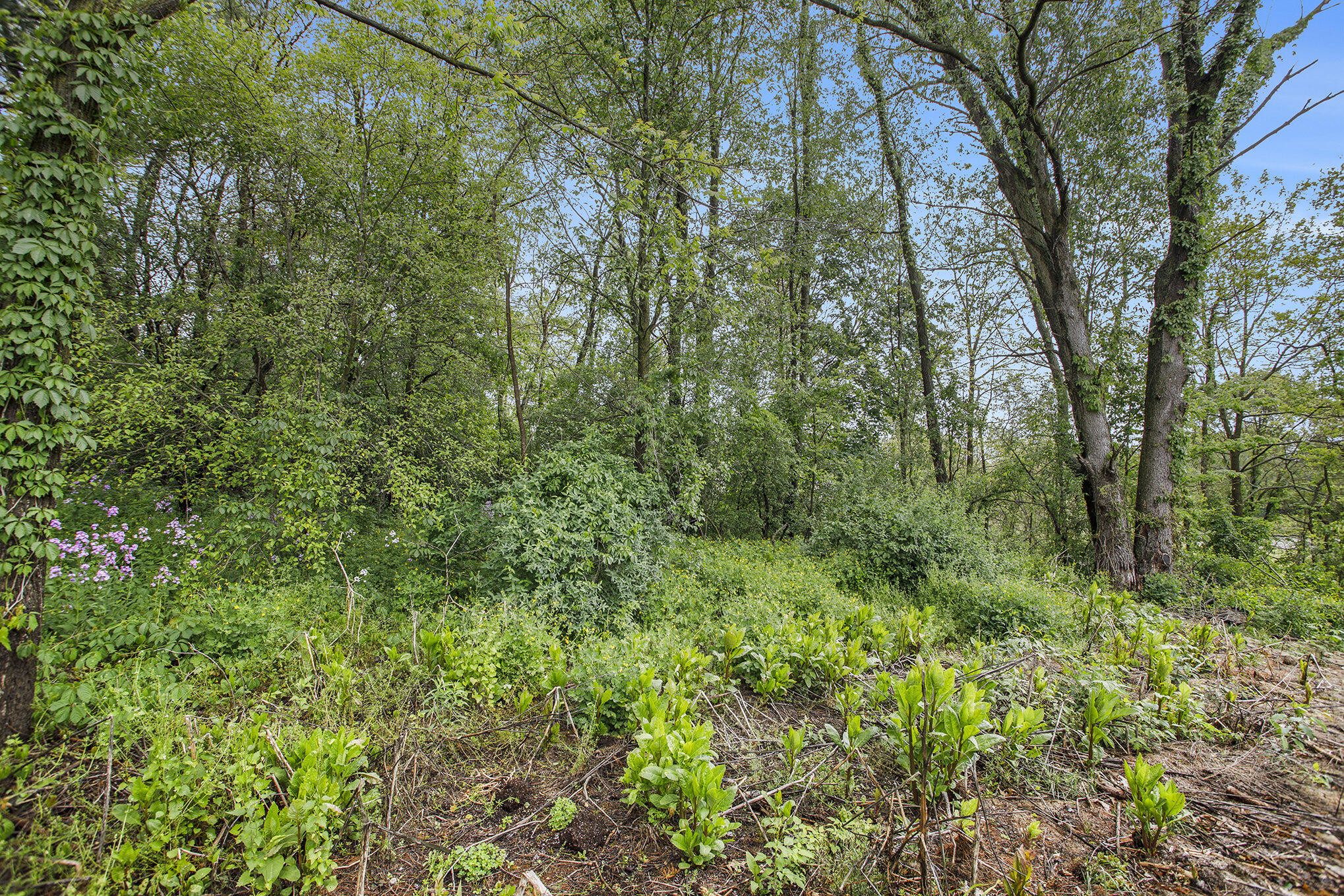 184 Shadowood Lane Property Photo 6
