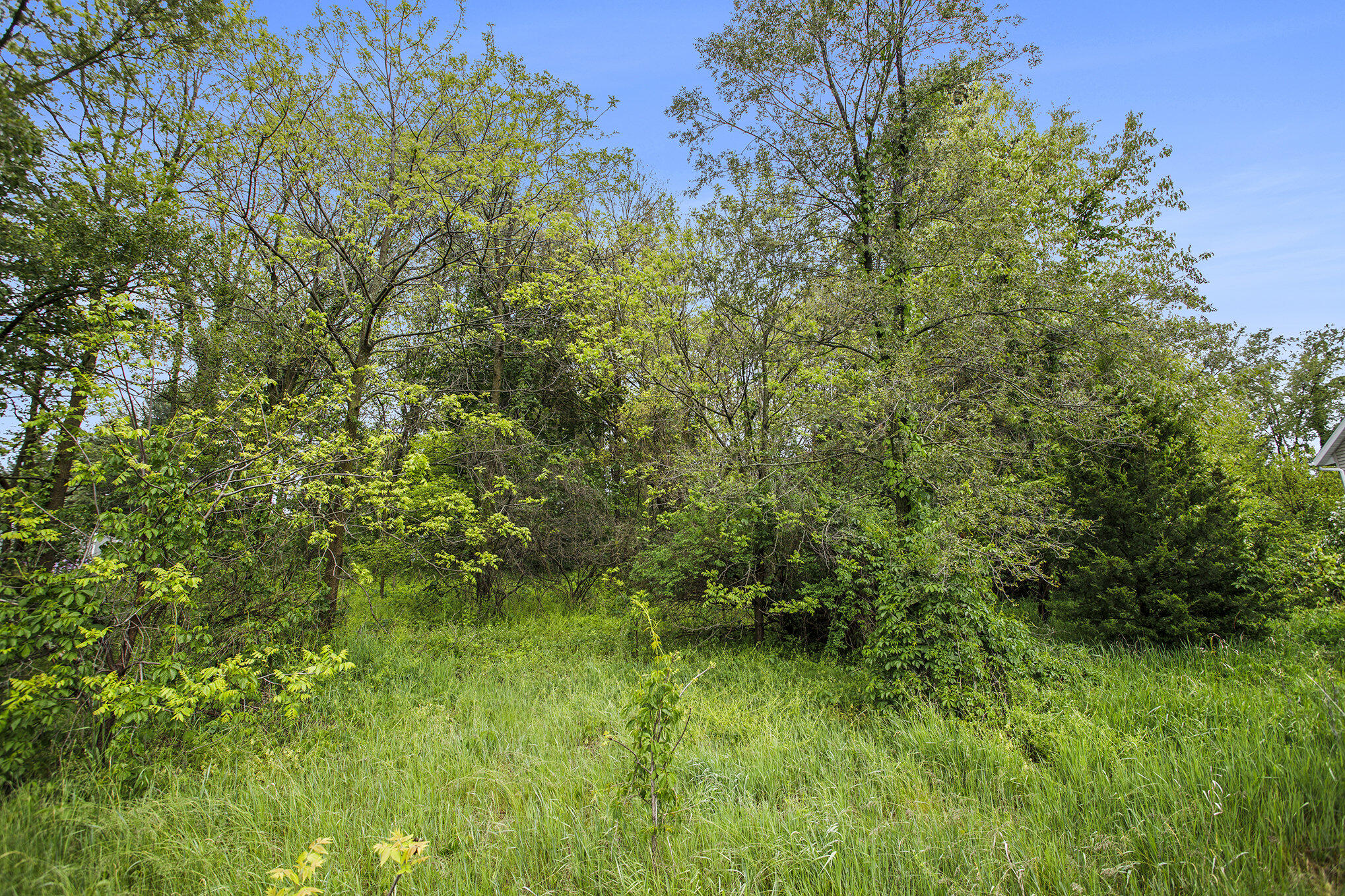 184 Shadowood Lane Property Photo 7