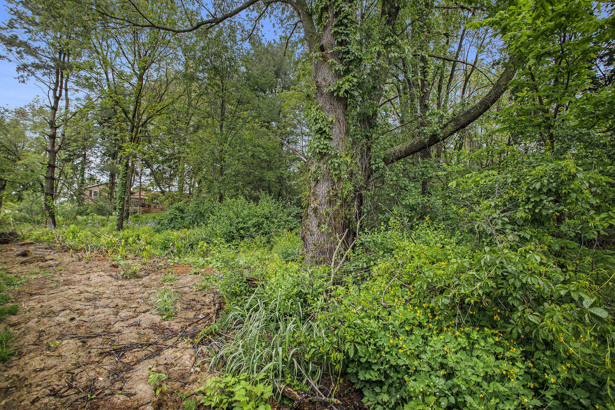 184 Shadowood Lane Property Photo 10