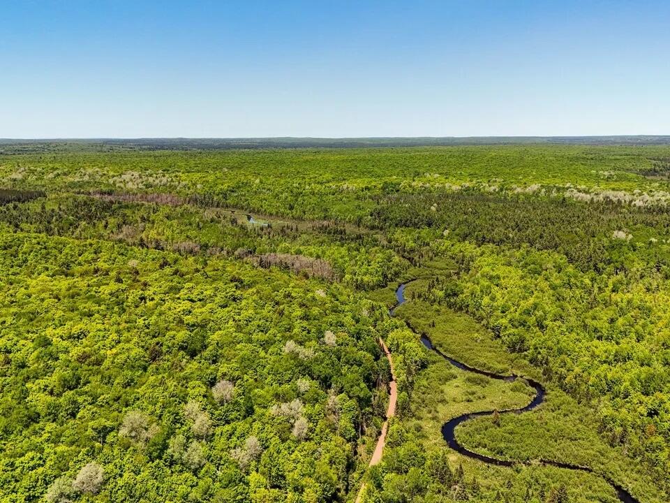 Federal Forest Highway 16 Property Photo 1