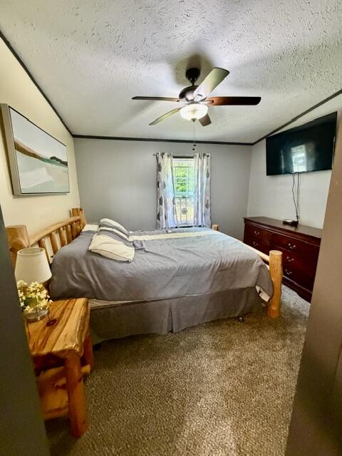 3130 134th Avenue Property Photo 9