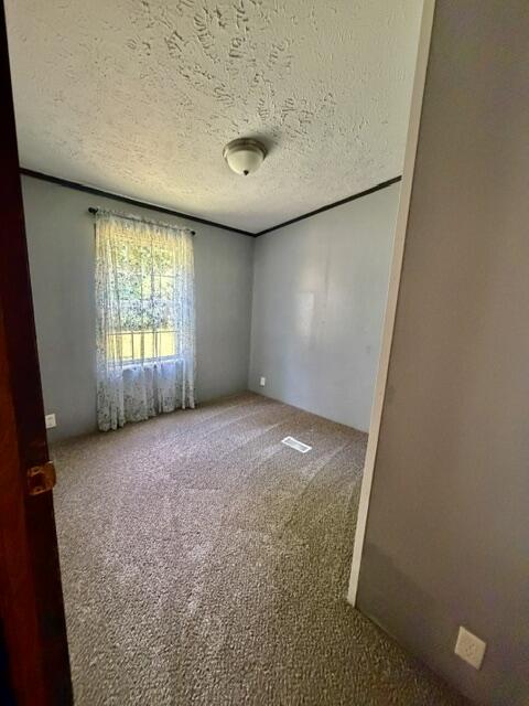 3130 134th Avenue Property Photo 13