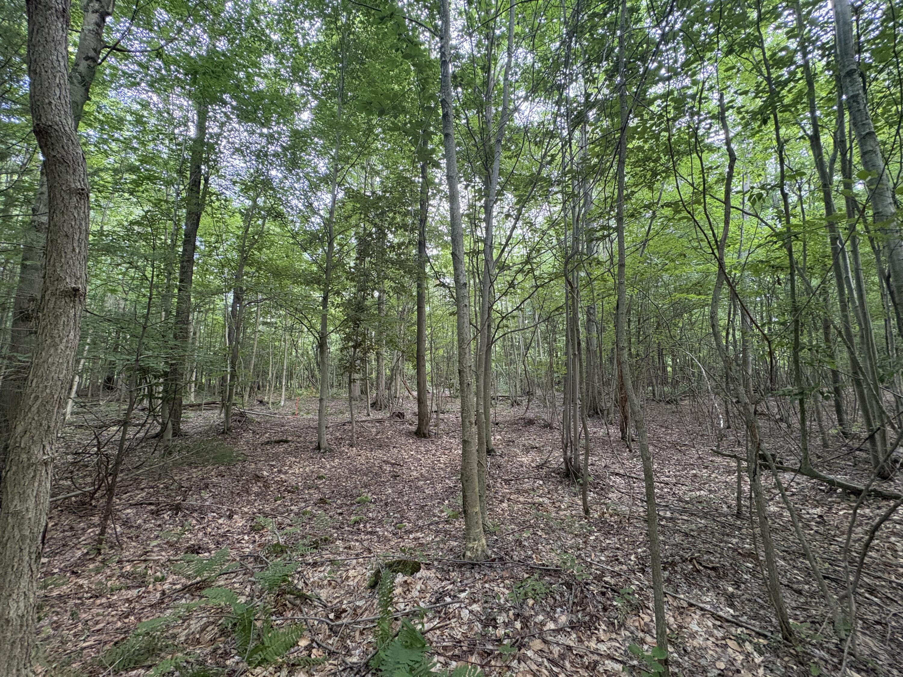 109th Avenue Property Photo 1