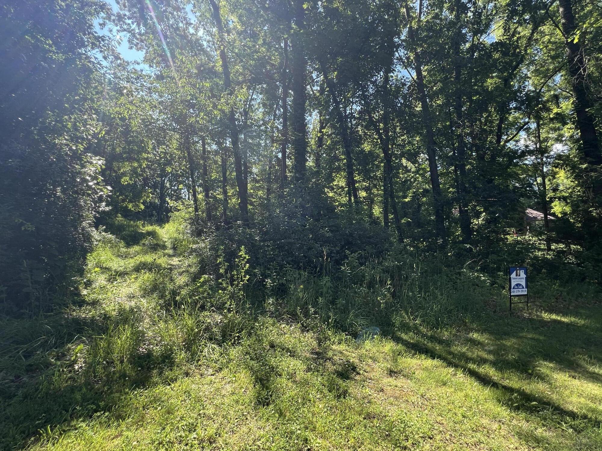 15267 Oak Hollow Drive Property Photo 4