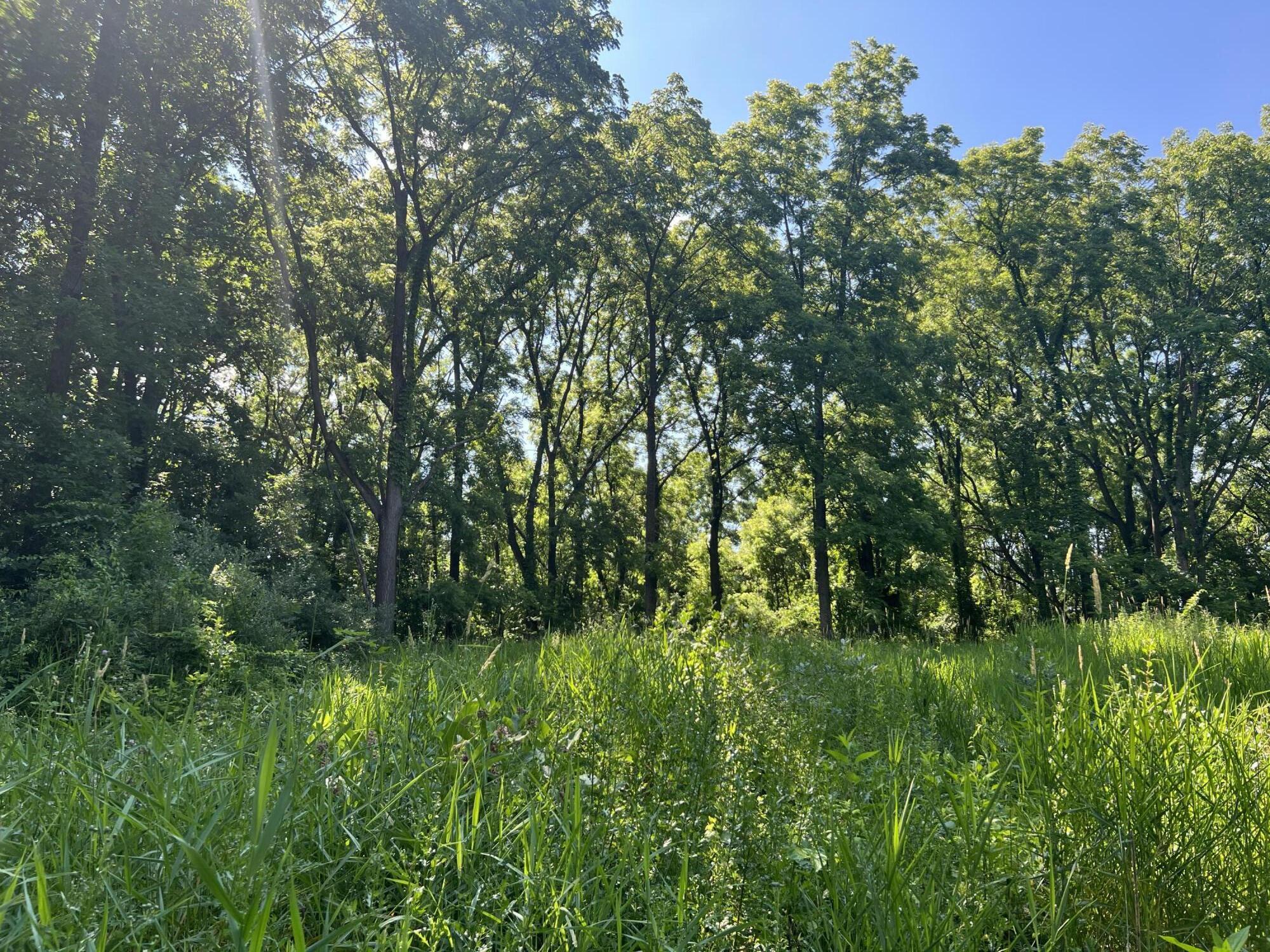 15267 Oak Hollow Drive Property Photo 6