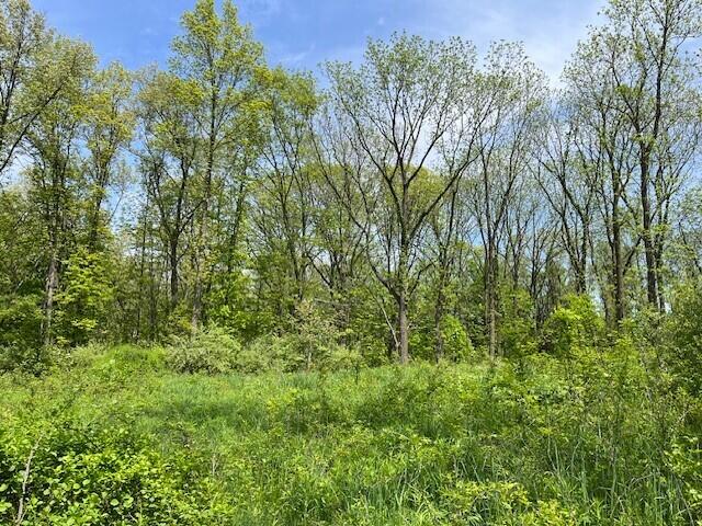 15267 Oak Hollow Drive Property Photo 10