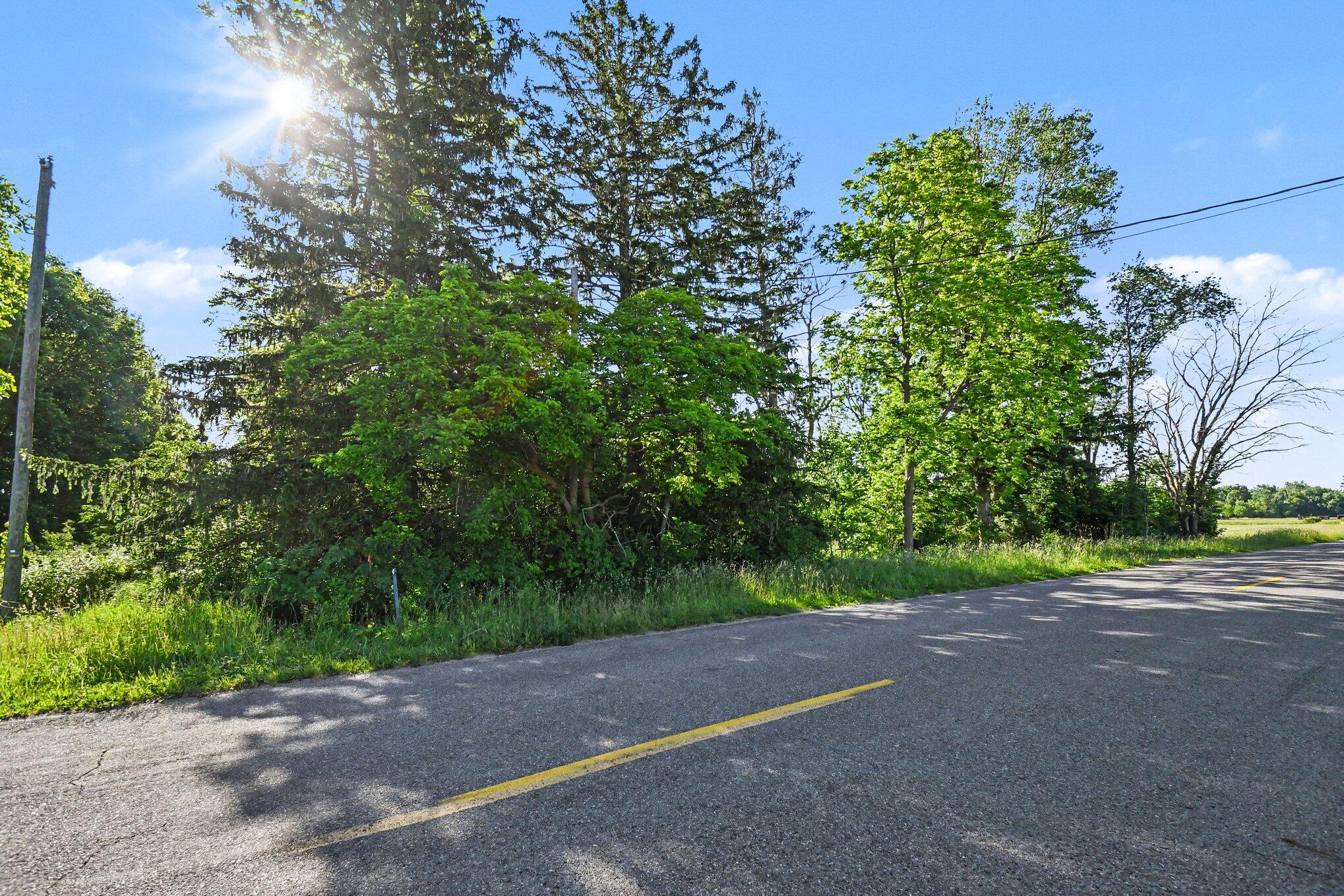 9605 Holden Road Property Photo 3