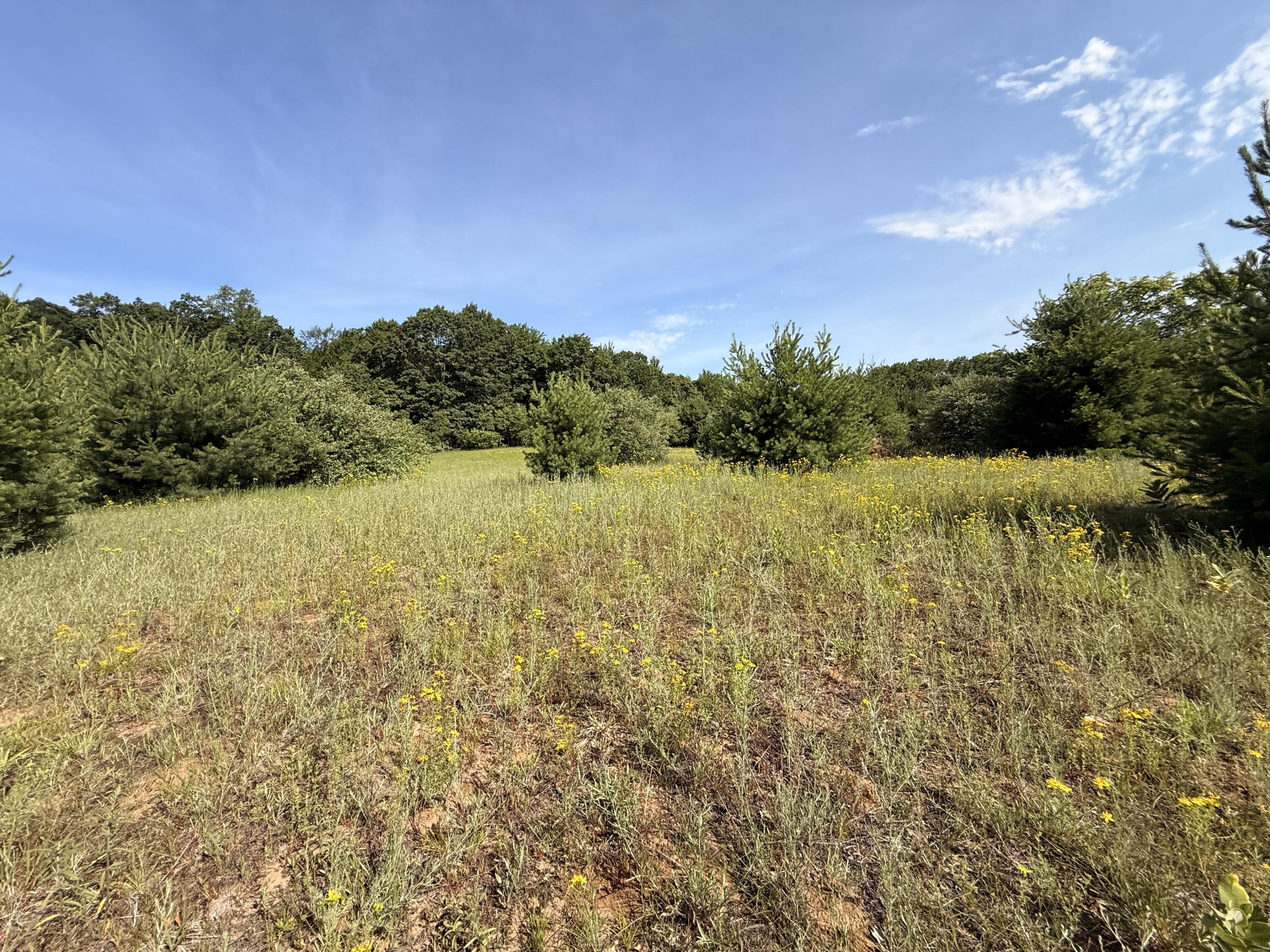 52 W Johnson Road Property Photo 29