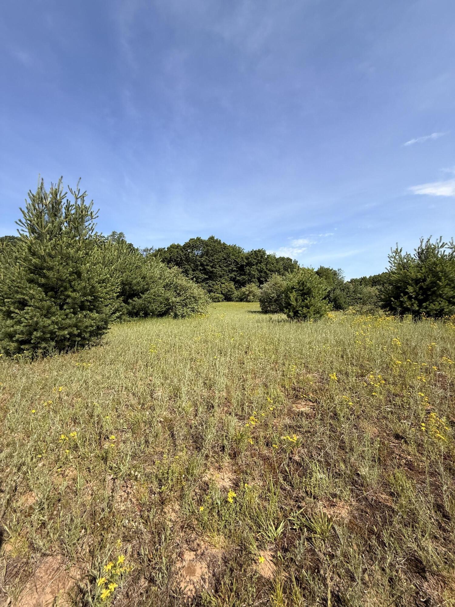 52 W Johnson Road Property Photo 34