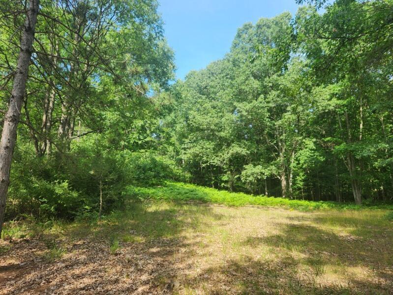 7359 S Riverbend Road Property Photo 4