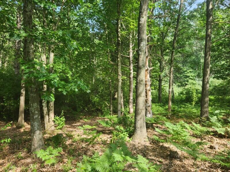 7359 S Riverbend Road Property Photo 5