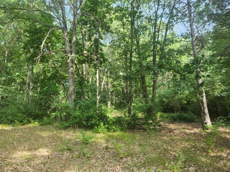 7359 S Riverbend Road Property Photo 6