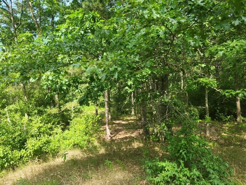 7359 S Riverbend Road Property Photo 7