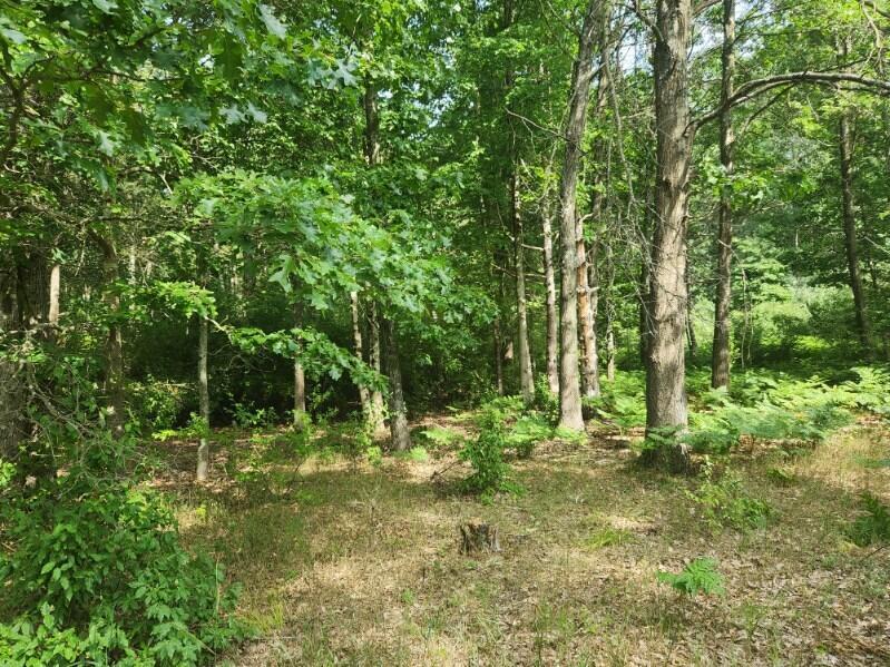 7359 S Riverbend Road Property Photo 8