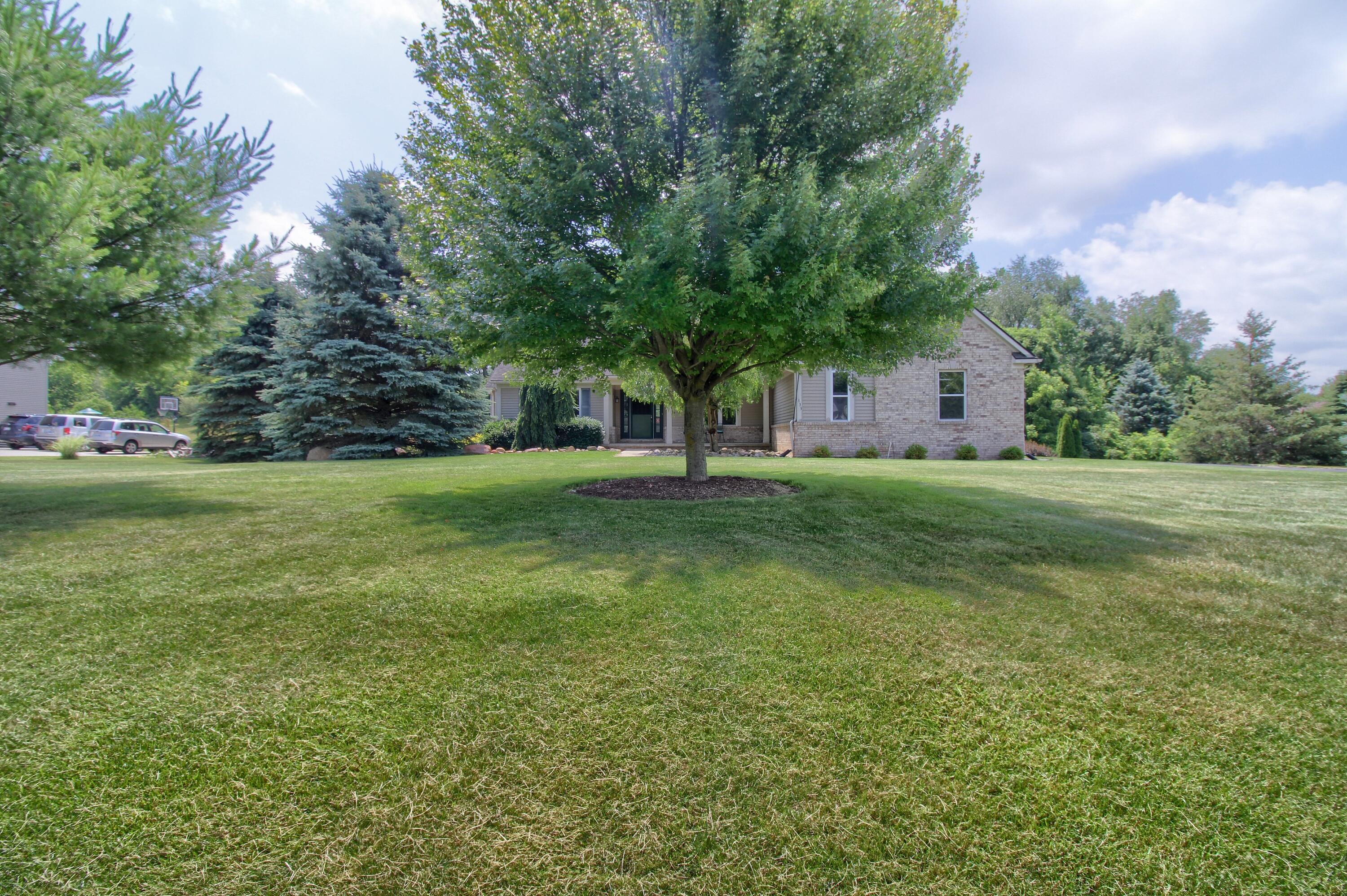6833 N Meadows Pass Property Photo 2
