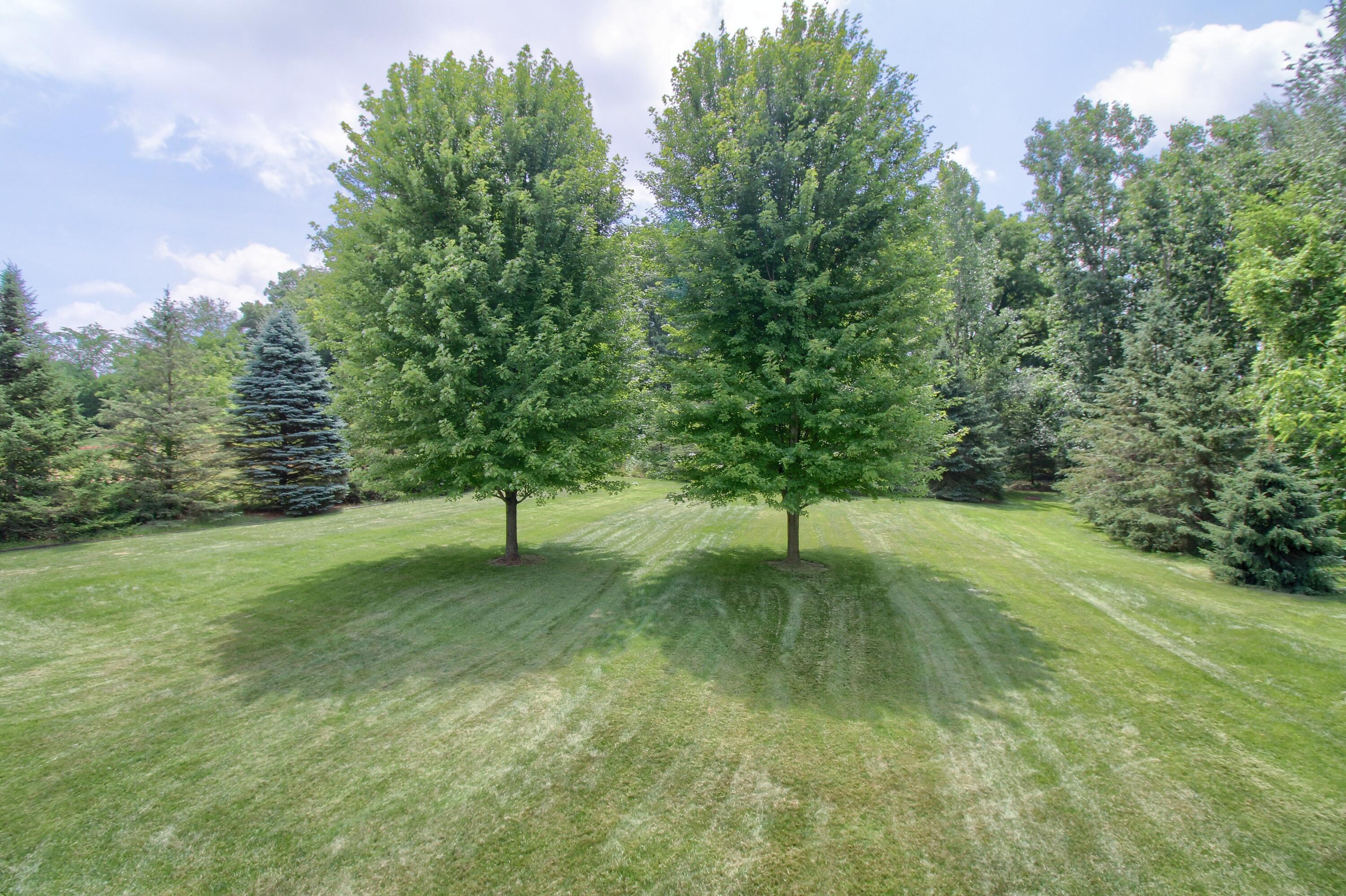 6833 N Meadows Pass Property Photo 43