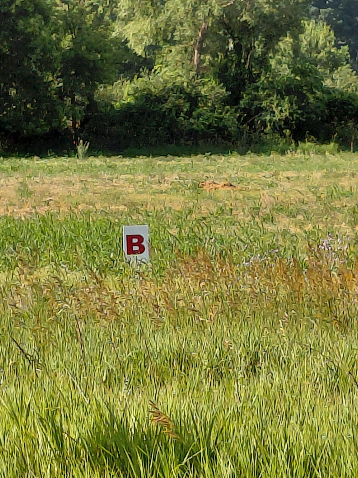 Lot B Stony Lake Road Property Photo 1