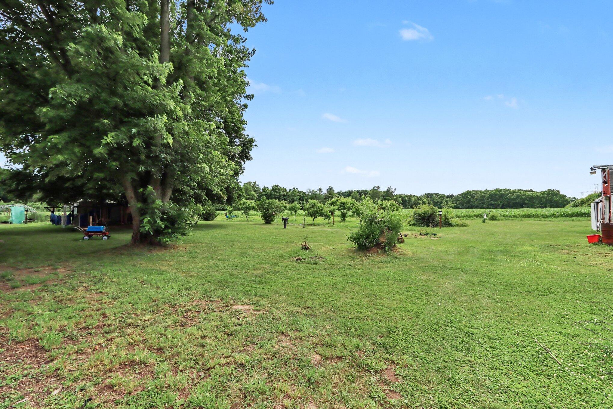 12090 M 40 Property Photo 26