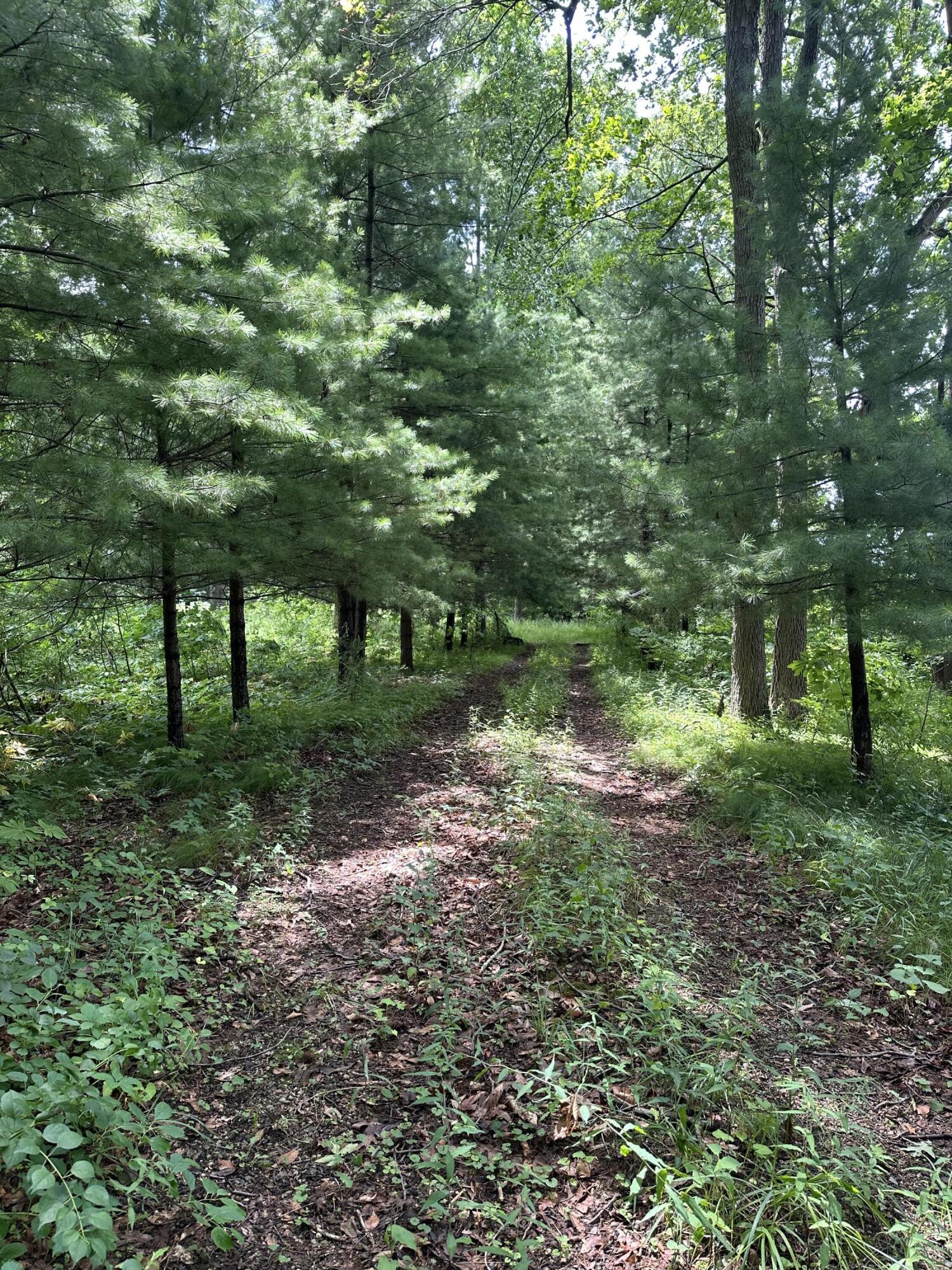 14765 Millard Road Property Photo 3