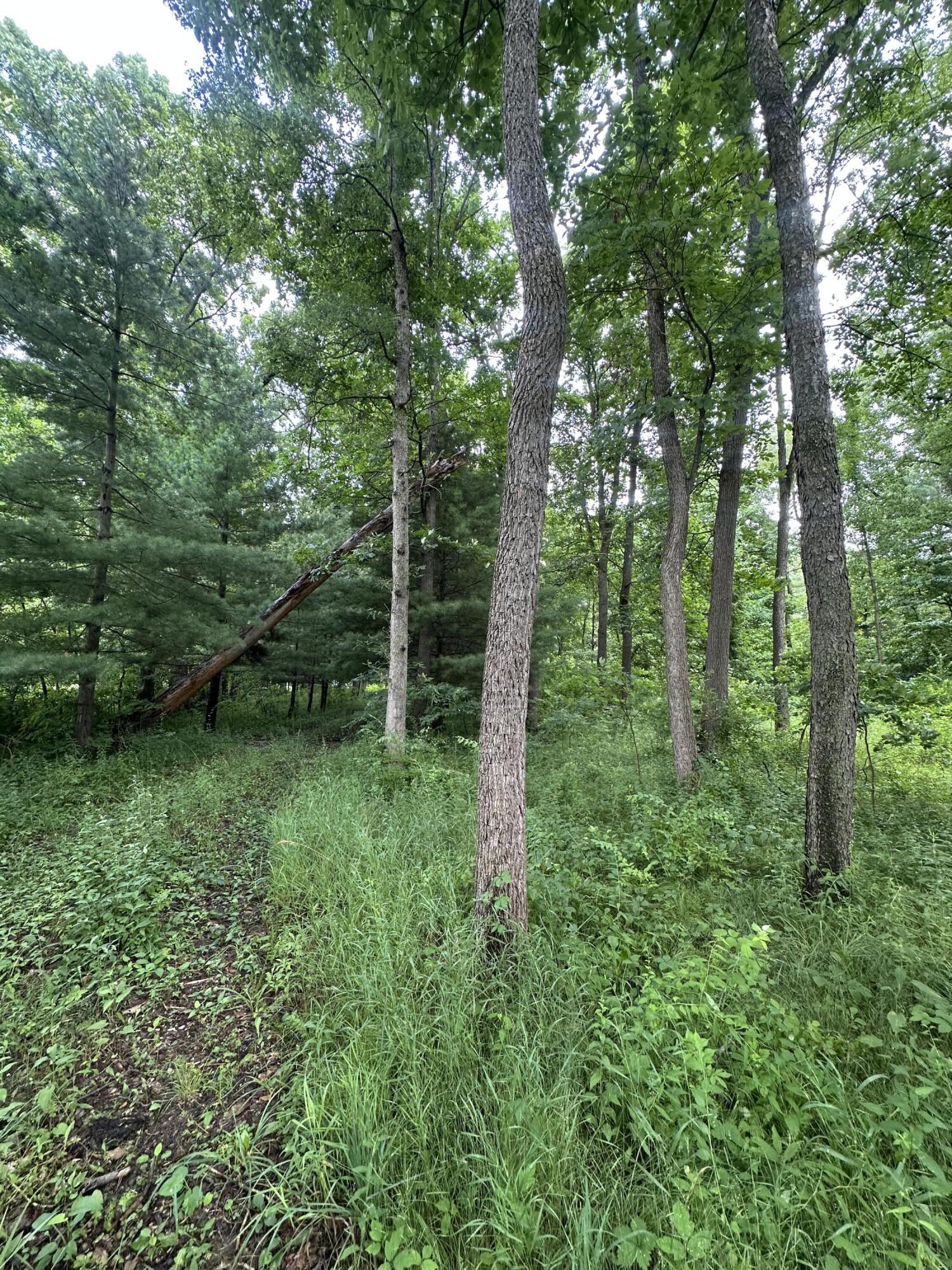 14765 Millard Road Property Photo 7