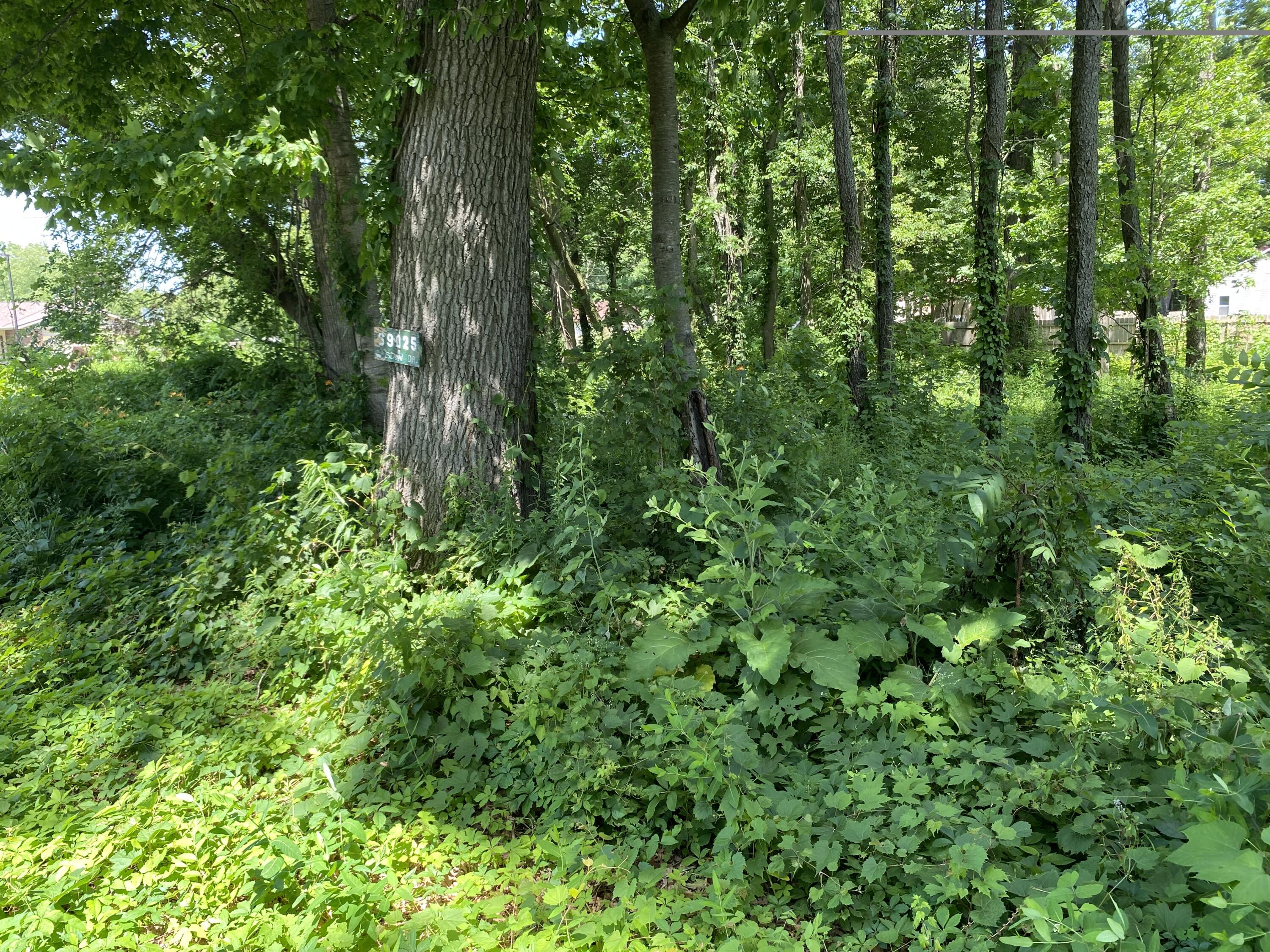 69025 Island Drive Property Photo 2
