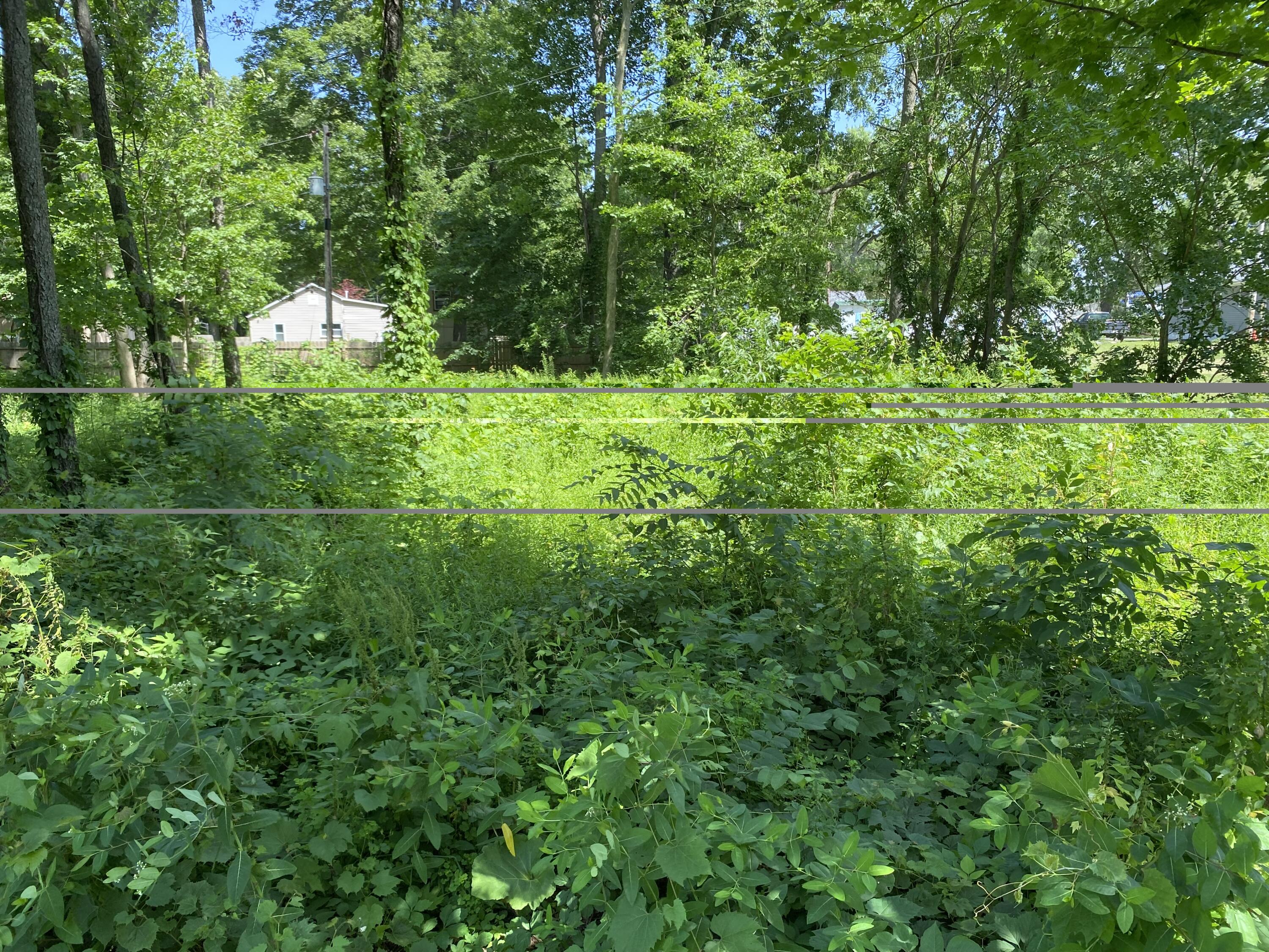 69025 Island Drive Property Photo 3