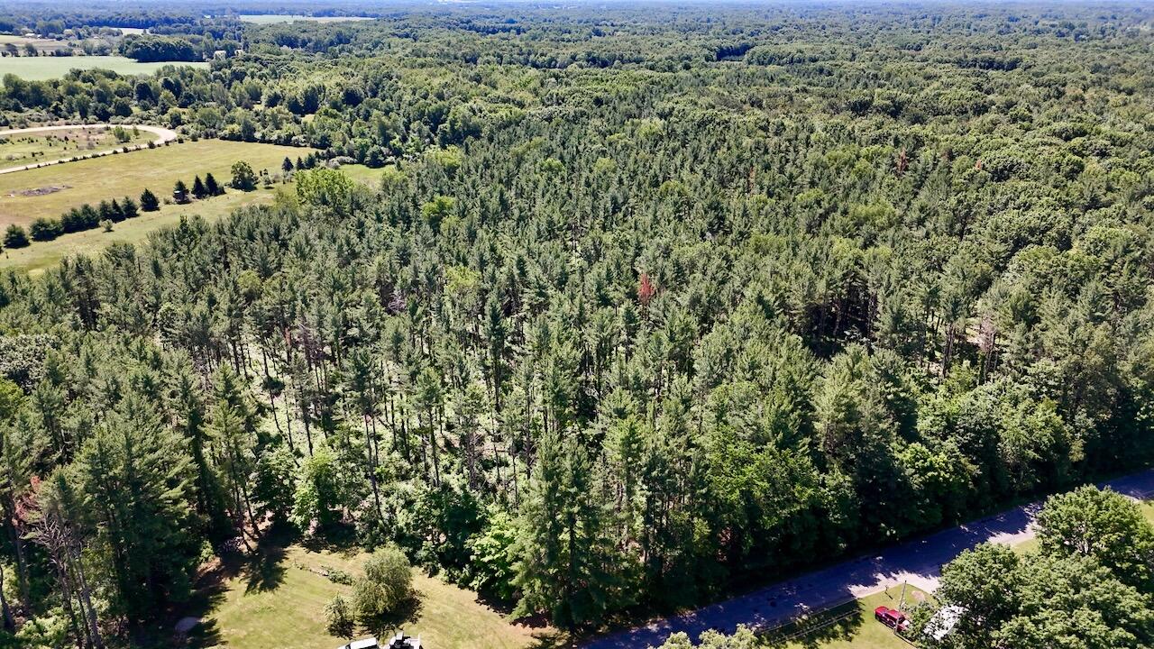 10041 Birch Drive Property Photo 6