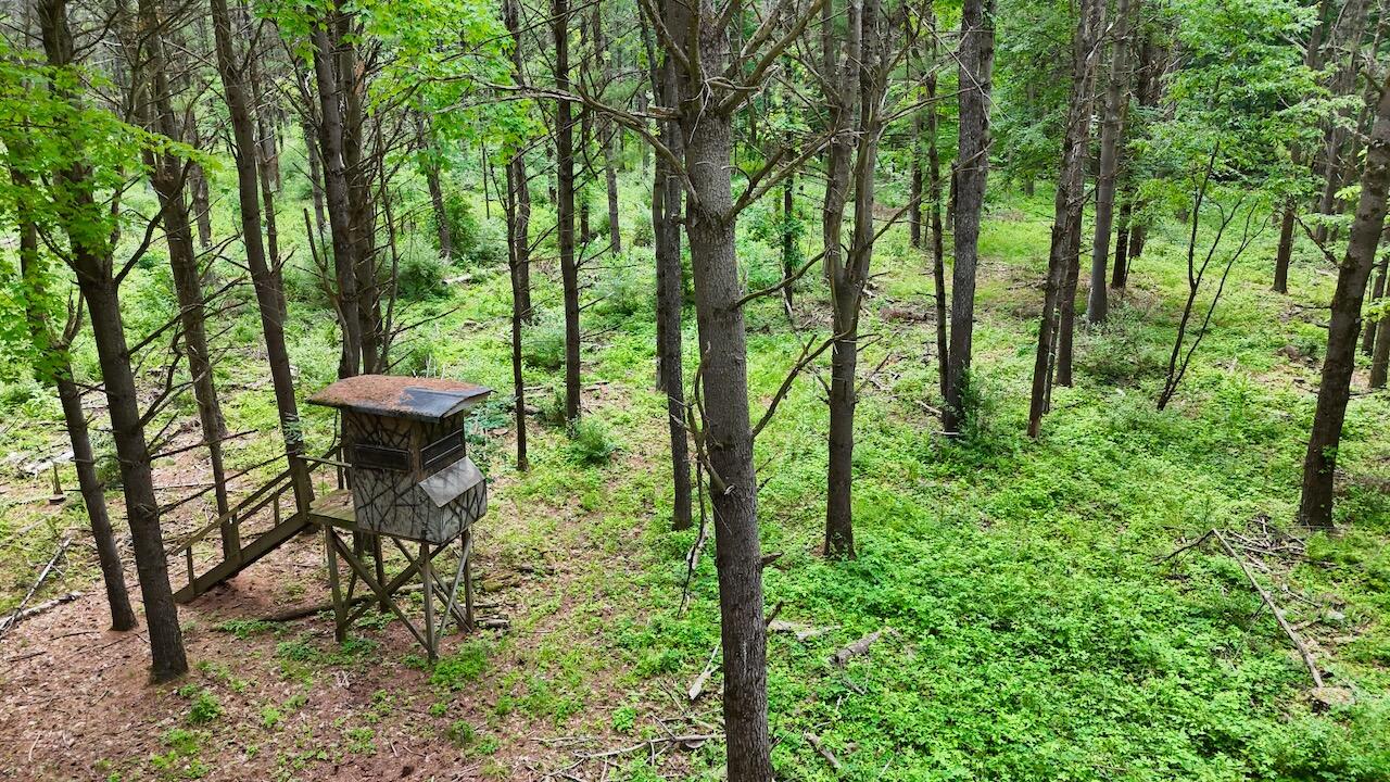 10041 Birch Drive Property Photo 10
