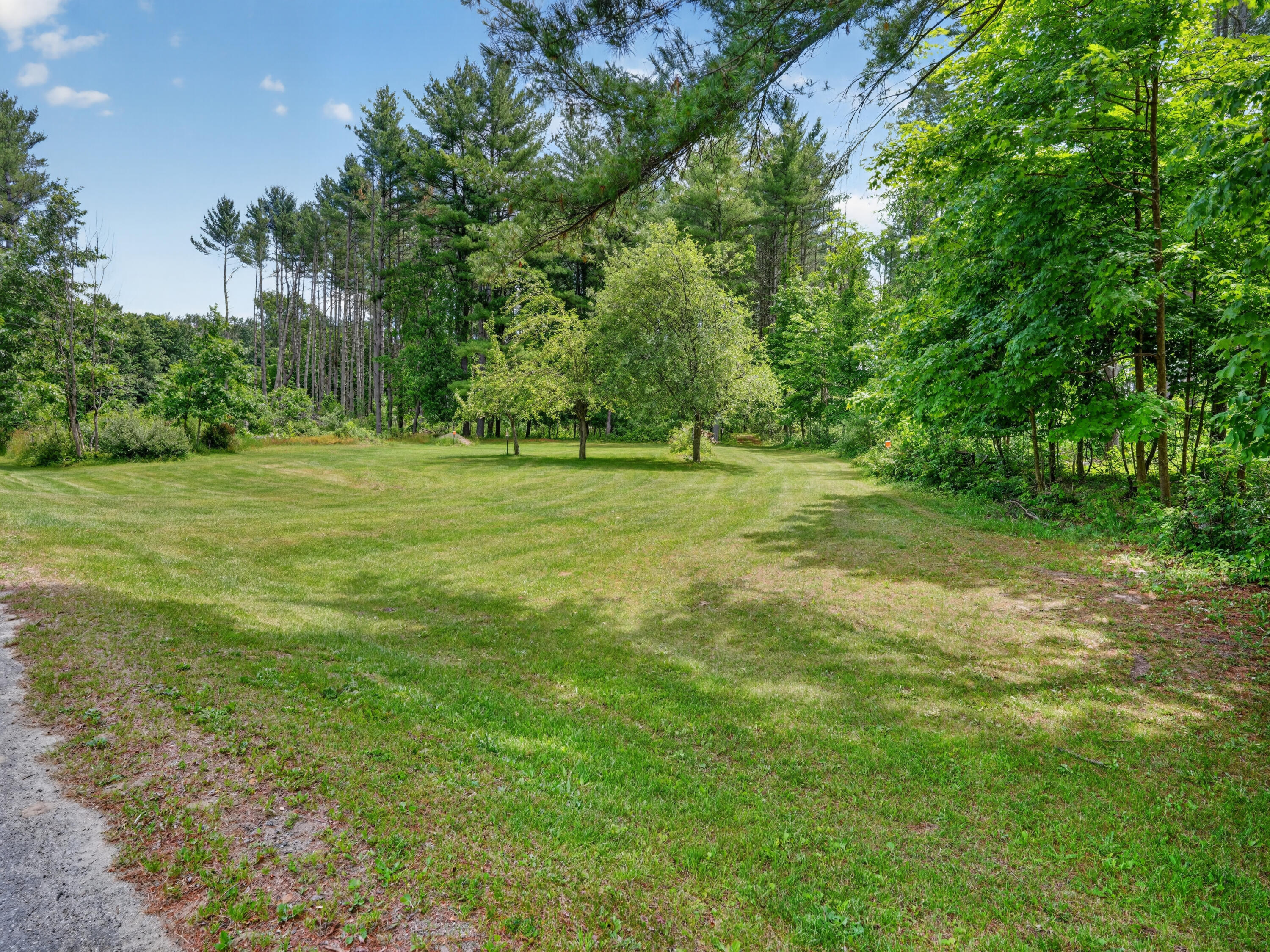 10041 Birch Drive Property Photo 44