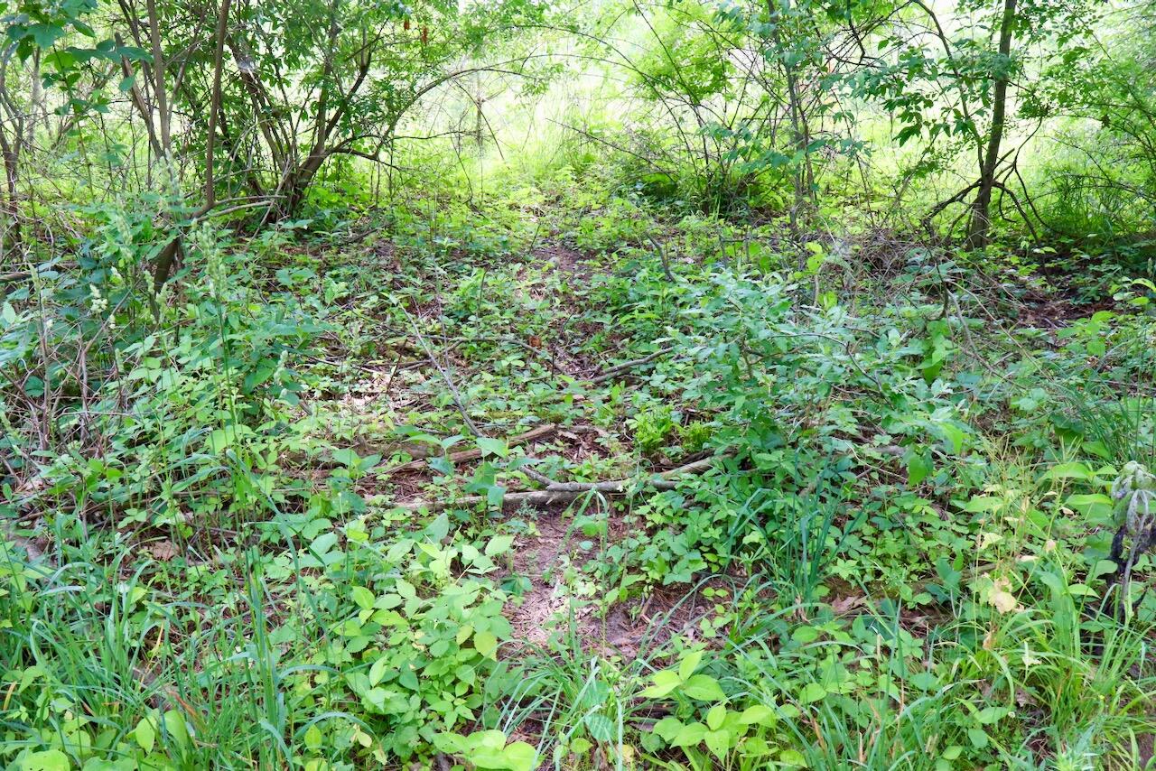 10041 Birch Drive Property Photo 49