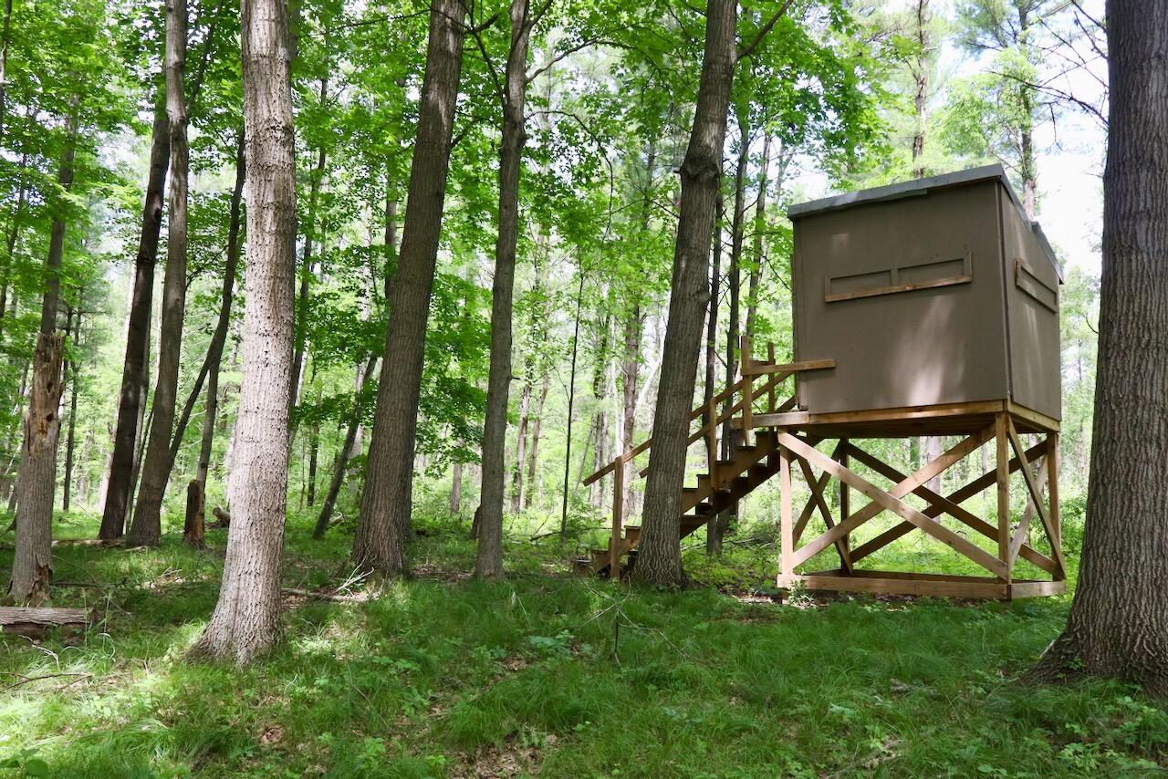 10041 Birch Drive Property Photo 53