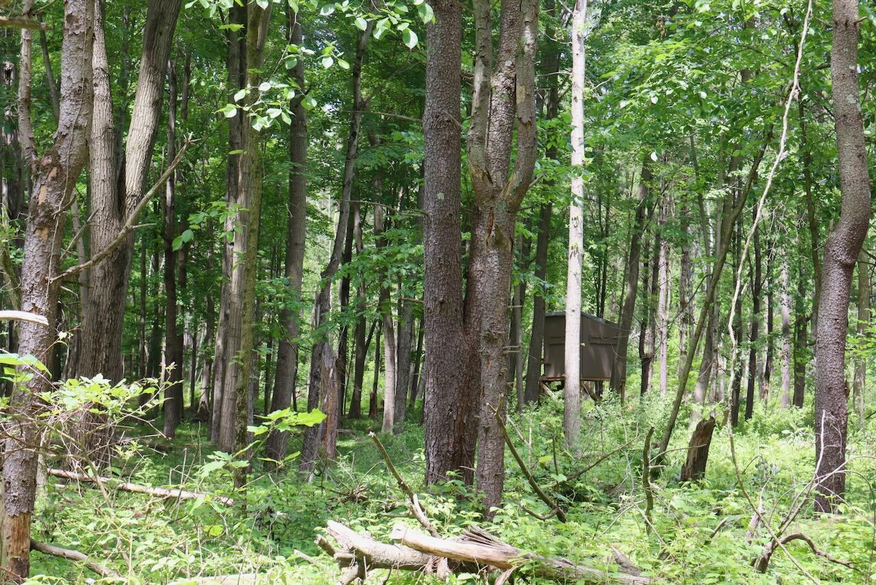 10041 Birch Drive Property Photo 57