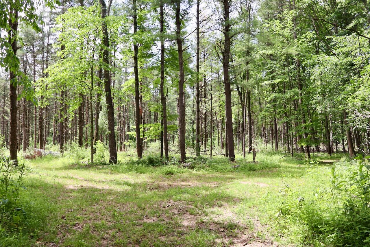 10041 Birch Drive Property Photo 58