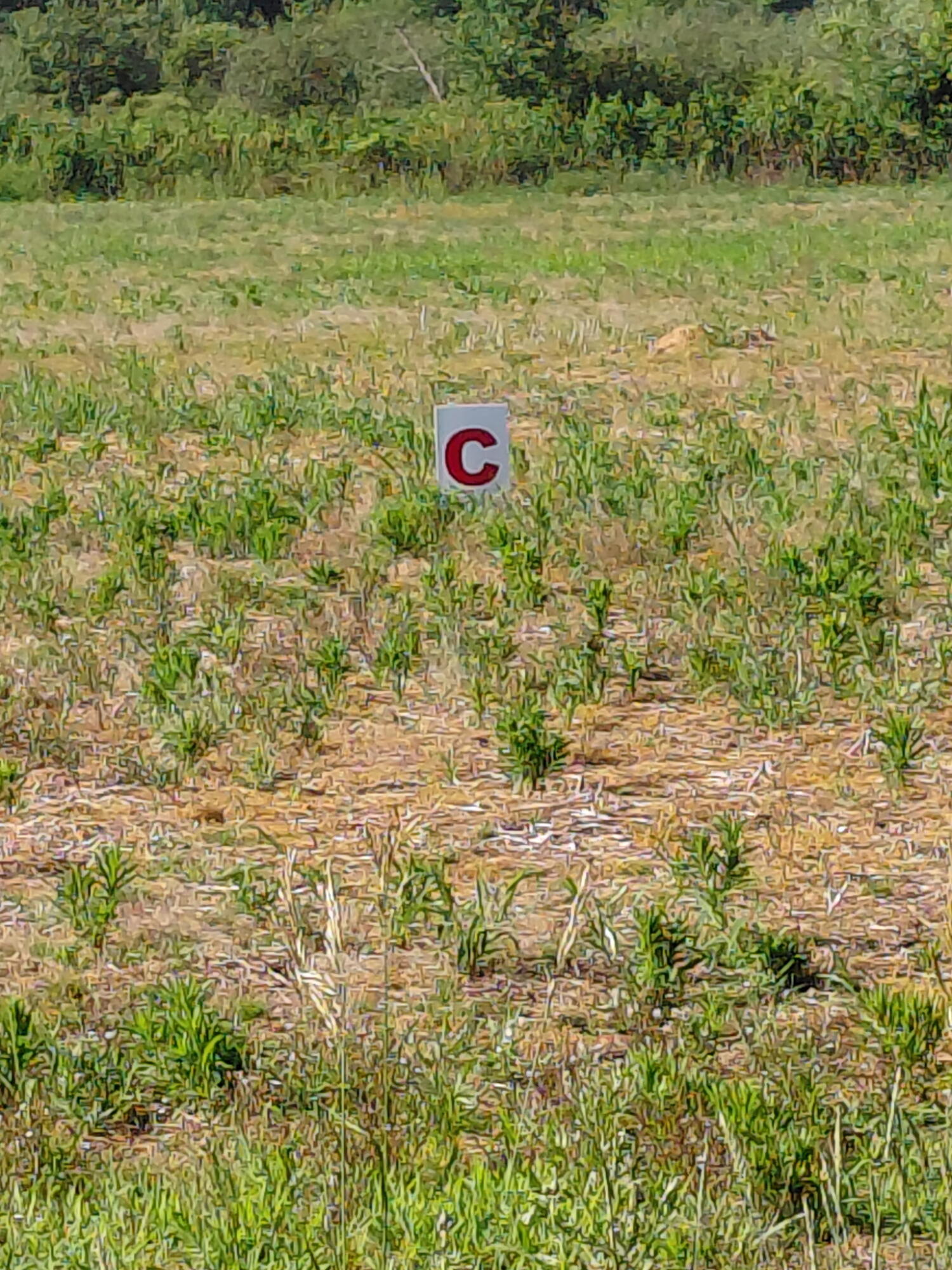 Lot C Stony Lake Road Property Photo 1