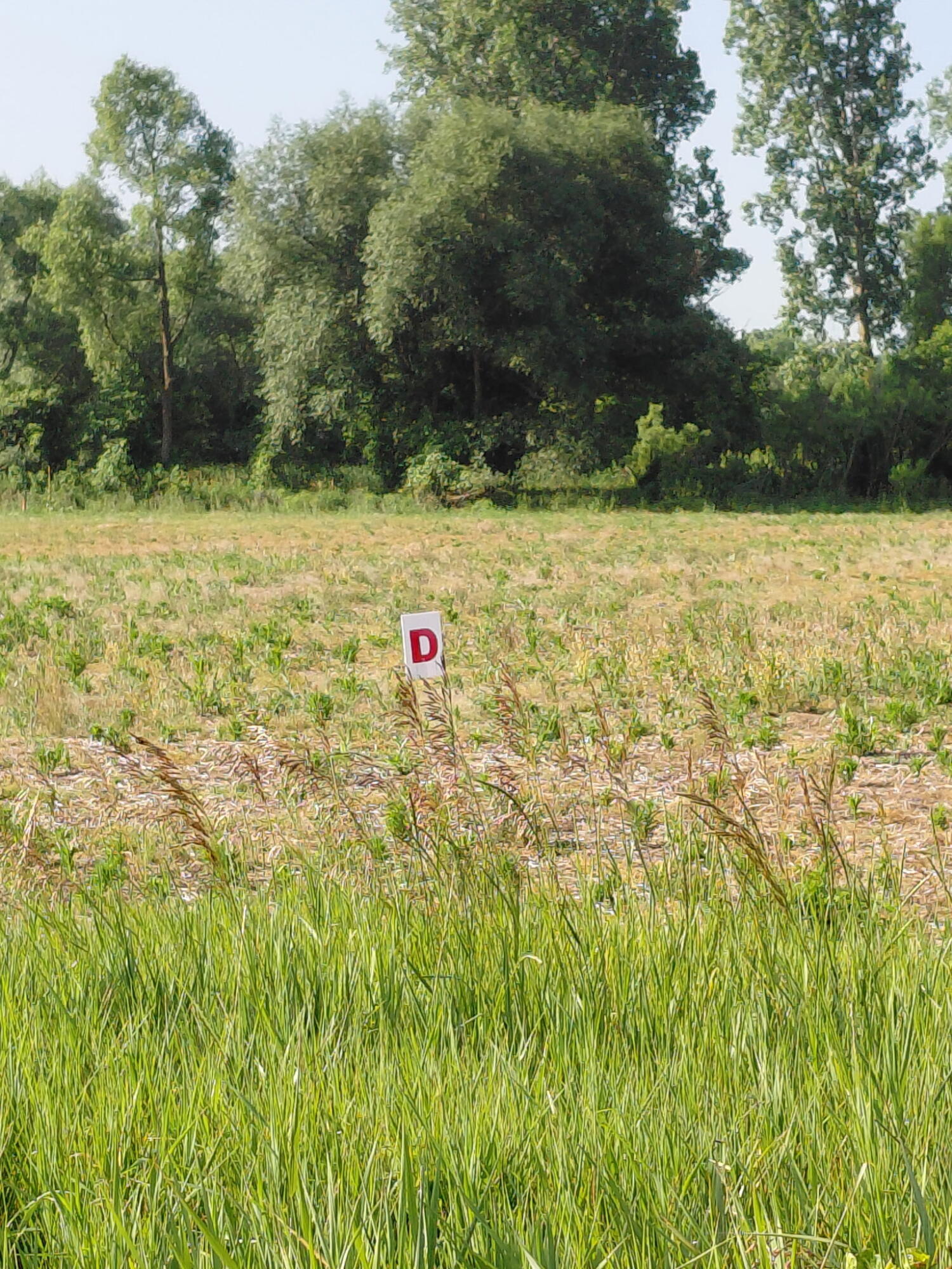 Lot D Stony Lake Road Property Photo 1